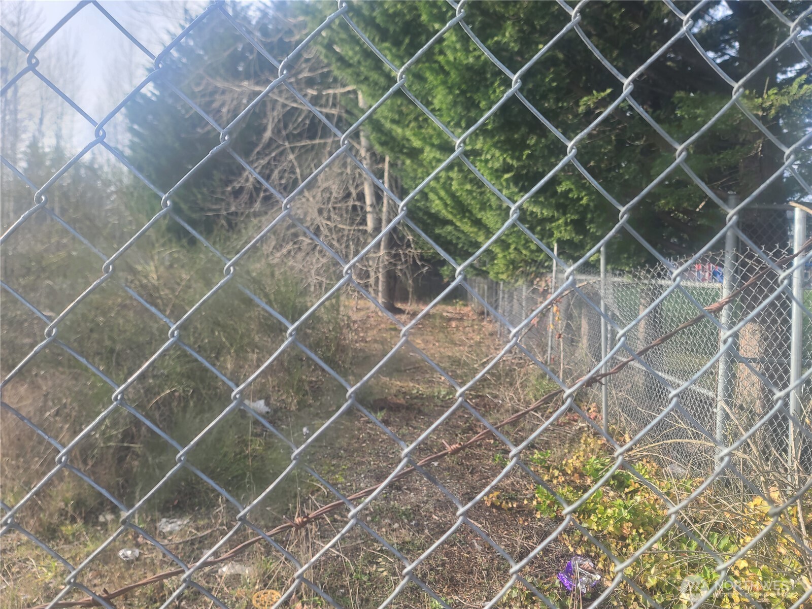 3826 E N Street Property Photo 2