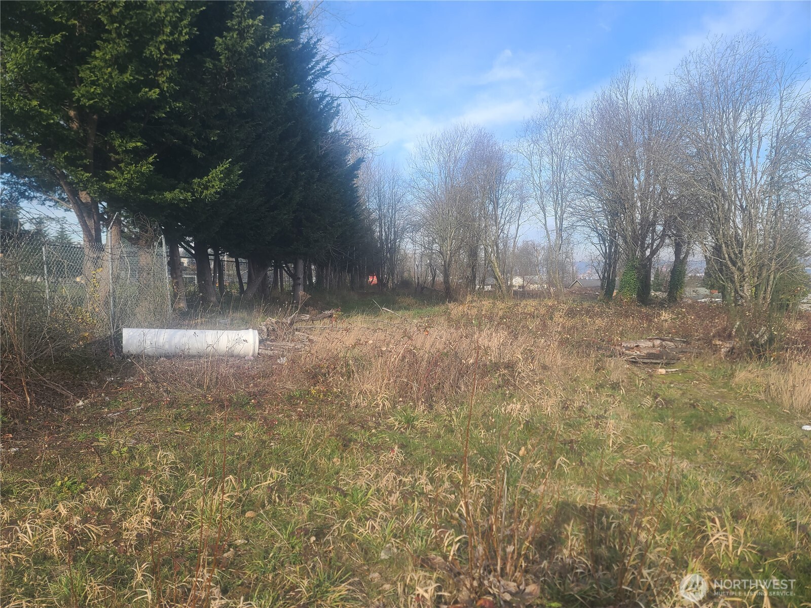 3826 E N Street Property Photo 3