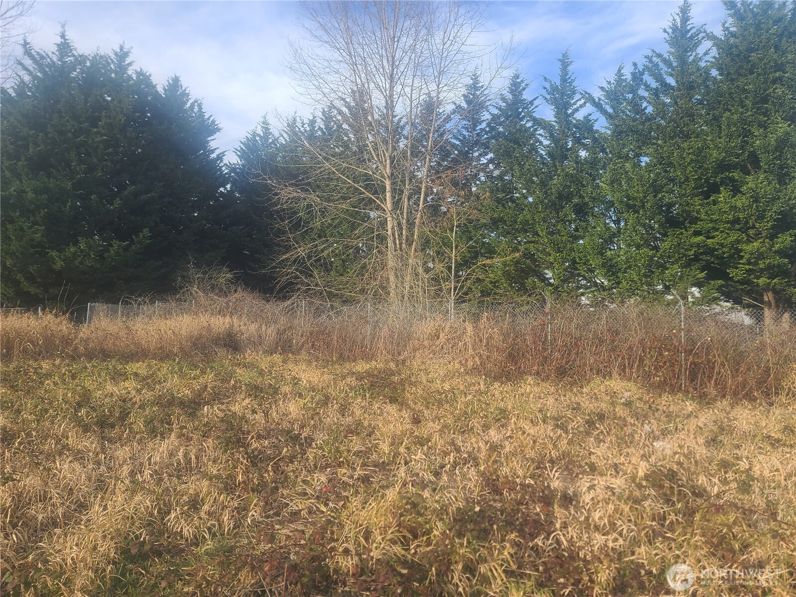 3826 E N Street Property Photo 4