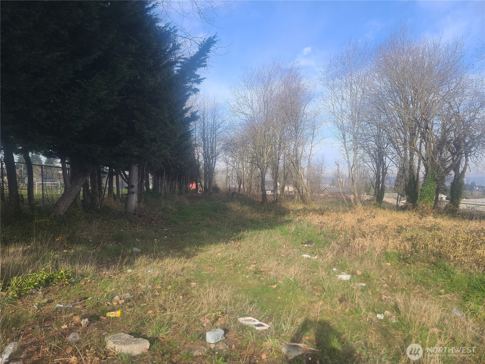 3826 E N Street Property Photo 6