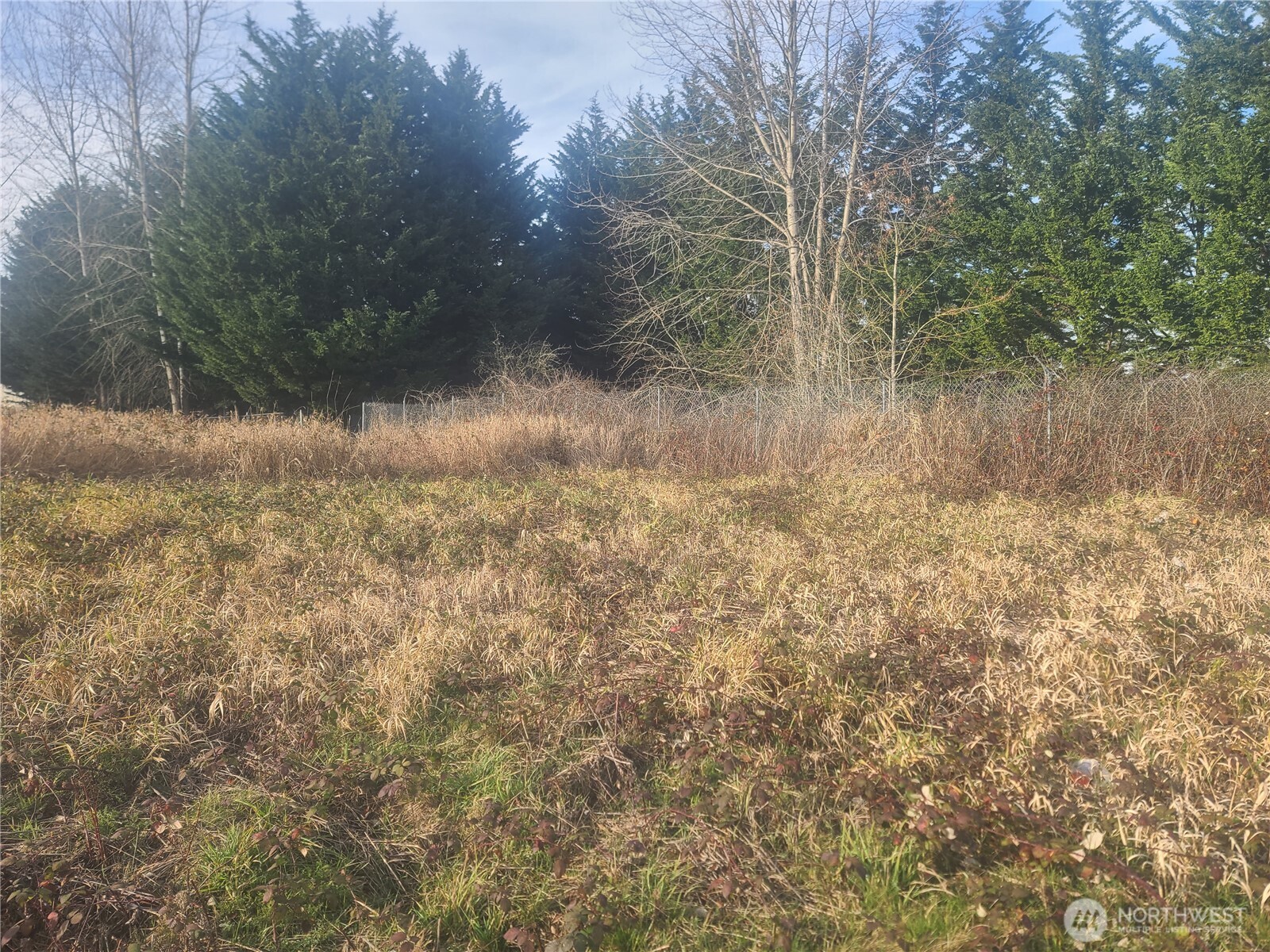 3826 E N Street Property Photo 9