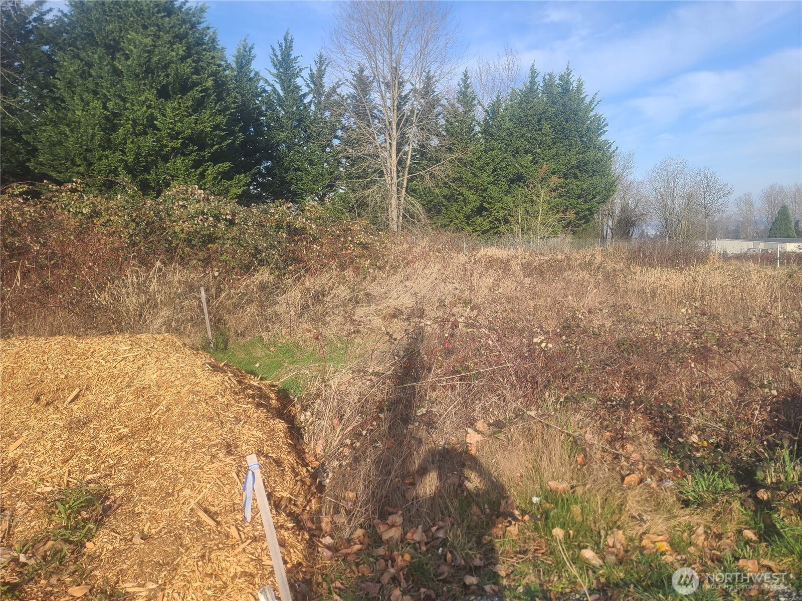 3826 E N Street Property Photo 10