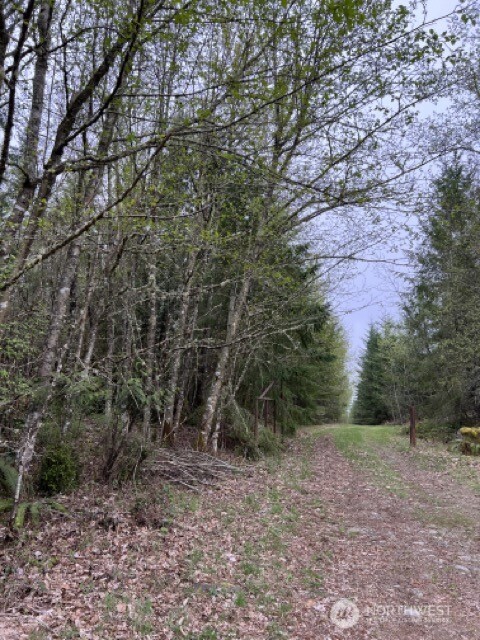 0 164th Street Property Photo 6