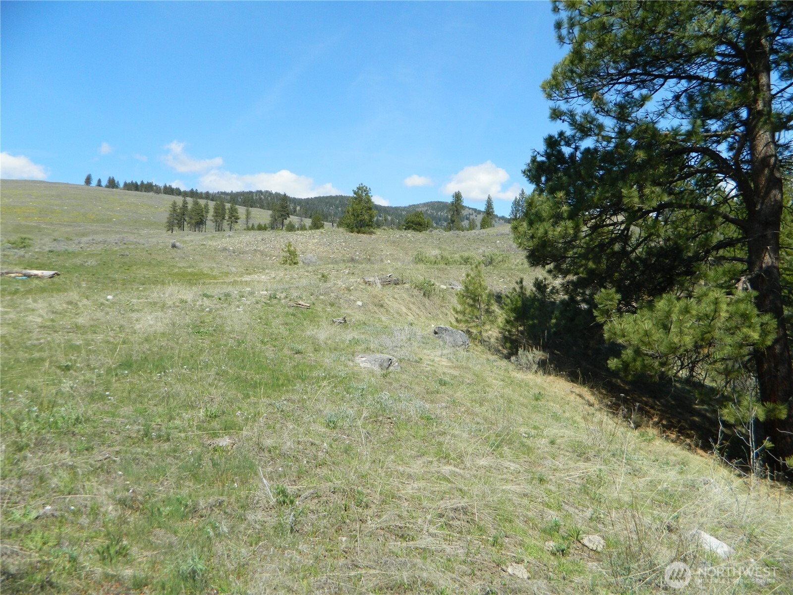 0 Tbd High Country Drive Property Photo 27