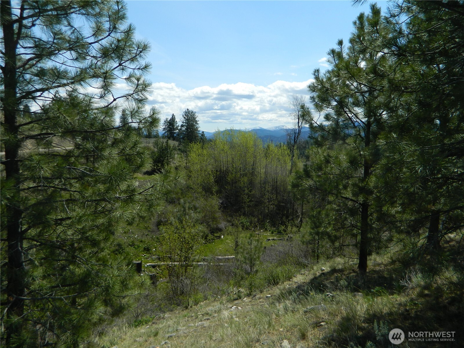 0 Tbd High Country Drive Property Photo 28