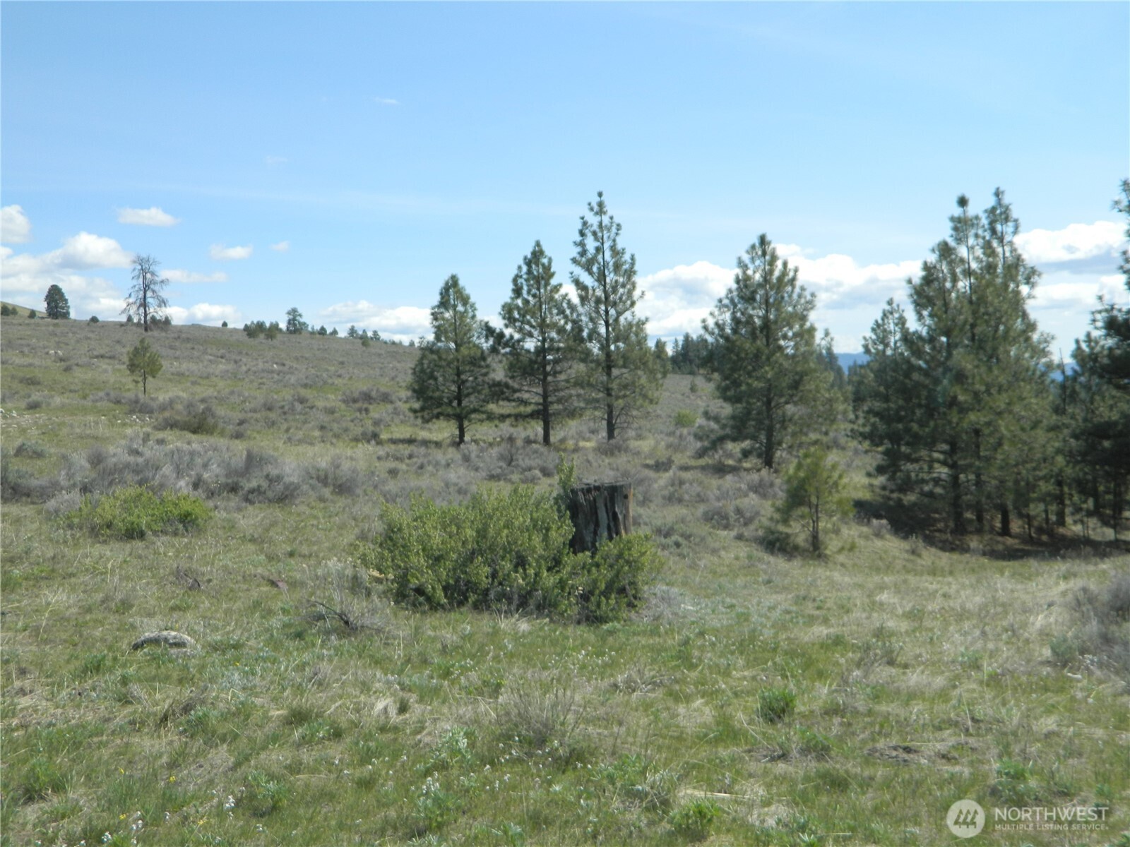 0 Tbd High Country Drive Property Photo 31