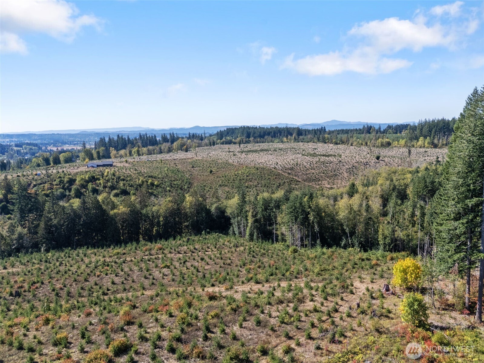0 Lot 4 Macomber Road Property Photo 1