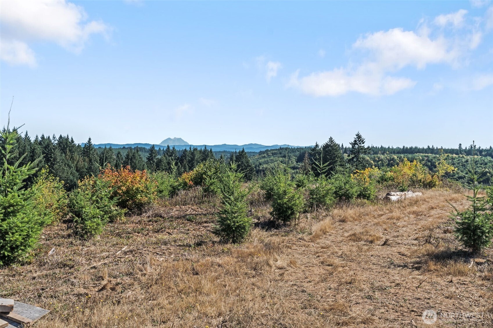 0 Lot 2 Macomber Road Property Photo 1