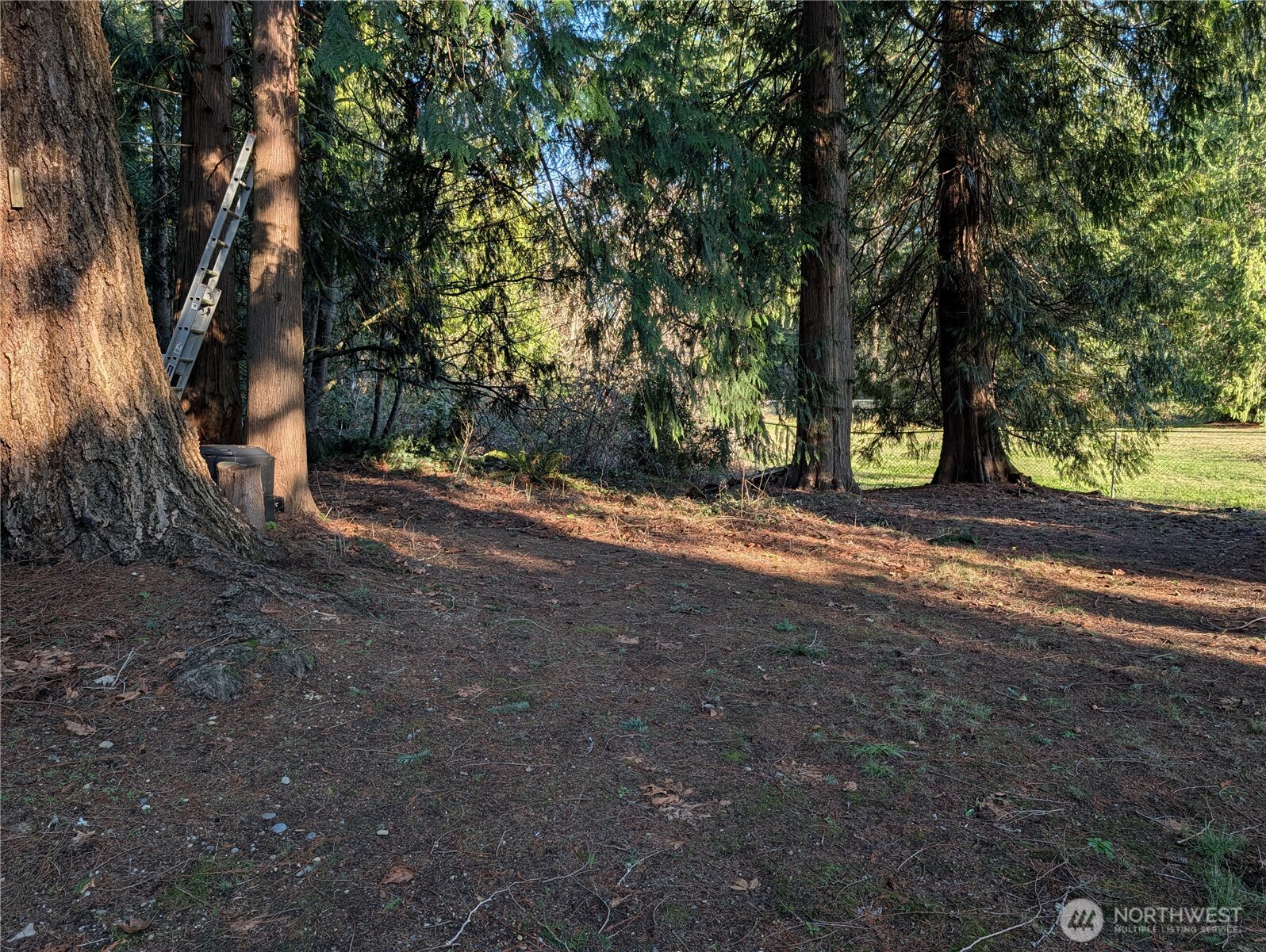 12105 25th Avenue Property Photo 11