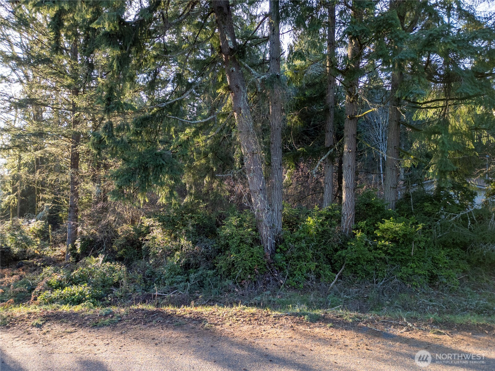 10916 Seaview Drive Property Photo 2