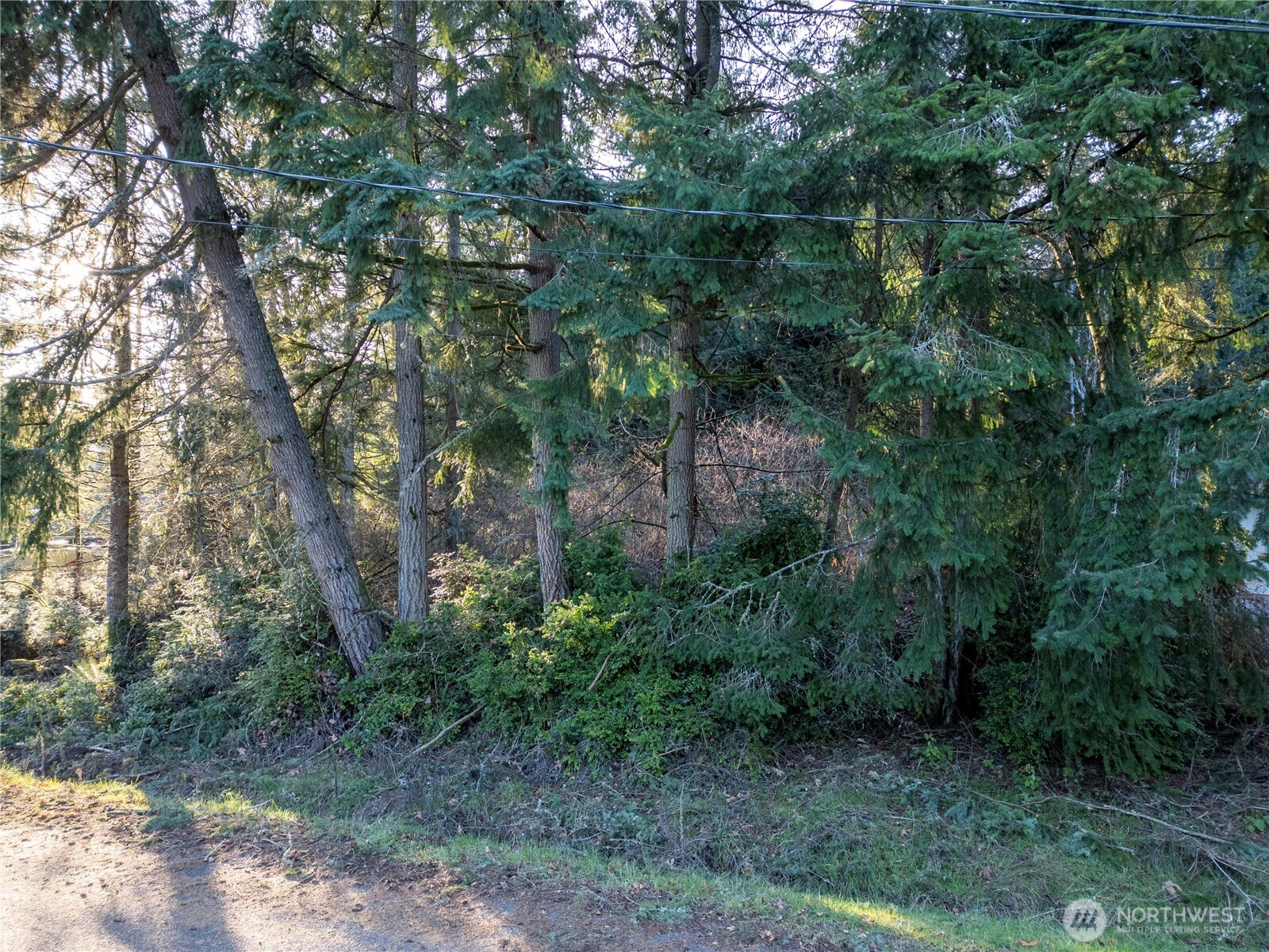 10916 Seaview Drive Property Photo 3