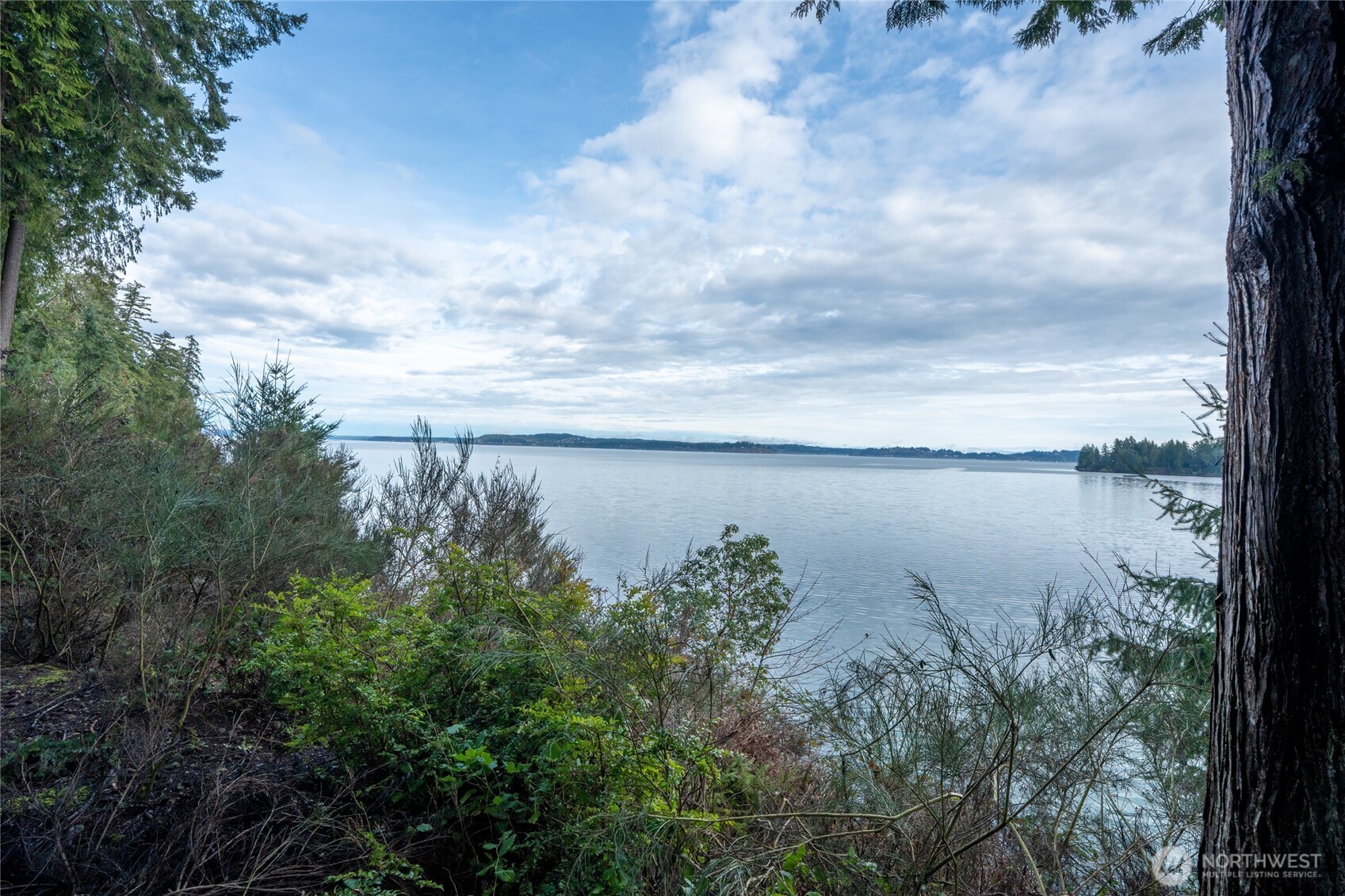 909 Lorenz Road Property Photo 4