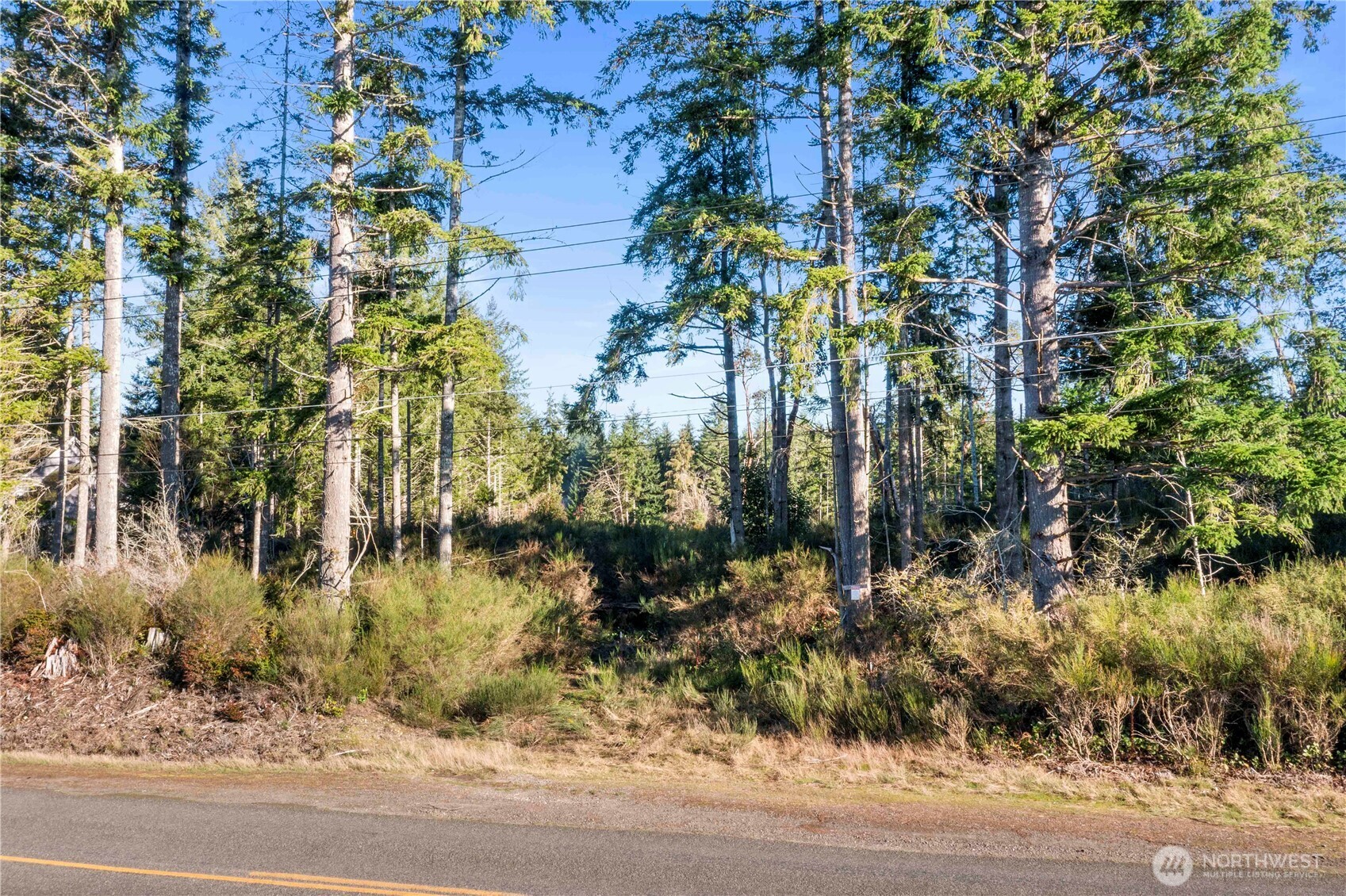 0 E Harstine Island Road Property Photo 1