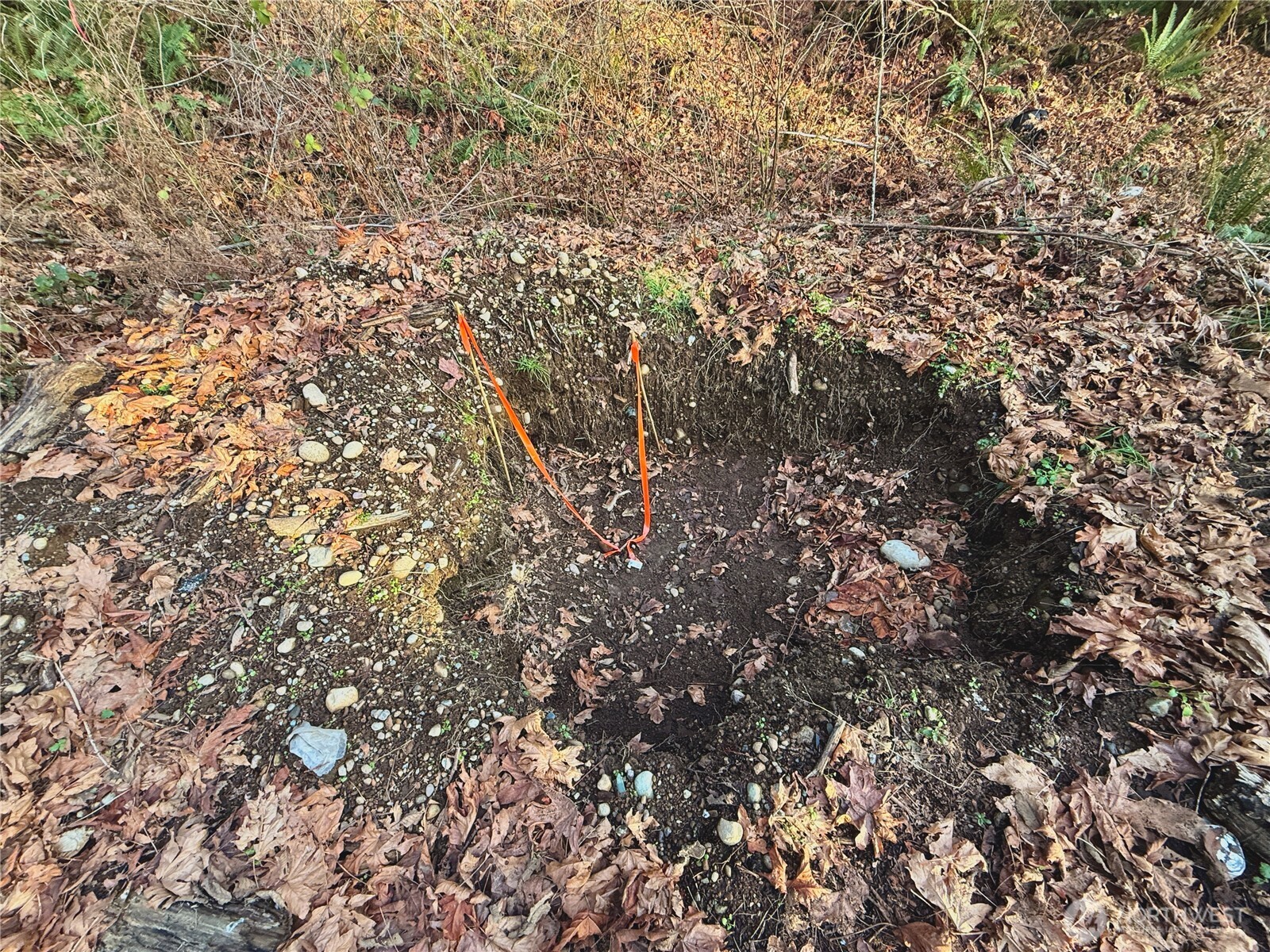 680 E State Route 302 Property Photo 9
