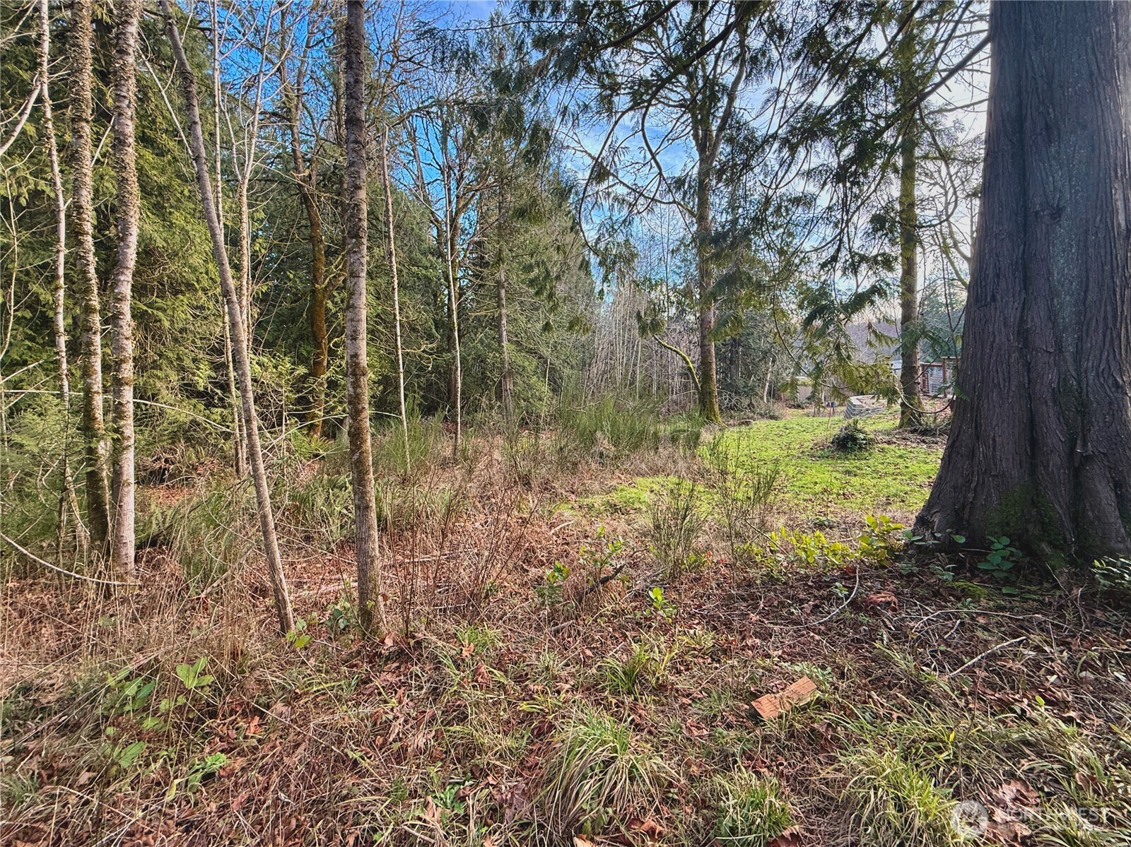 680 E State Route 302 Property Photo 16