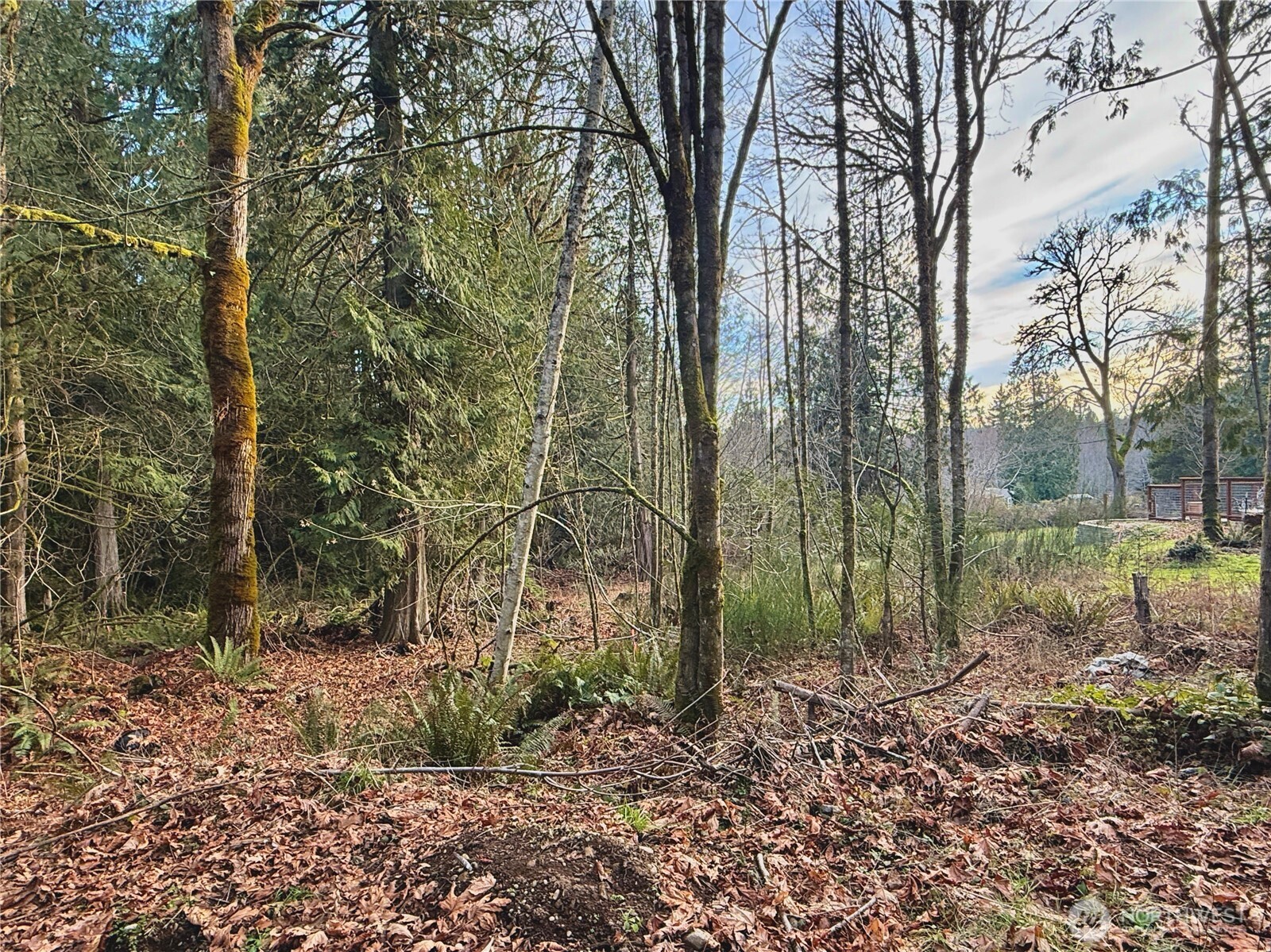 680 E State Route 302 Property Photo 17