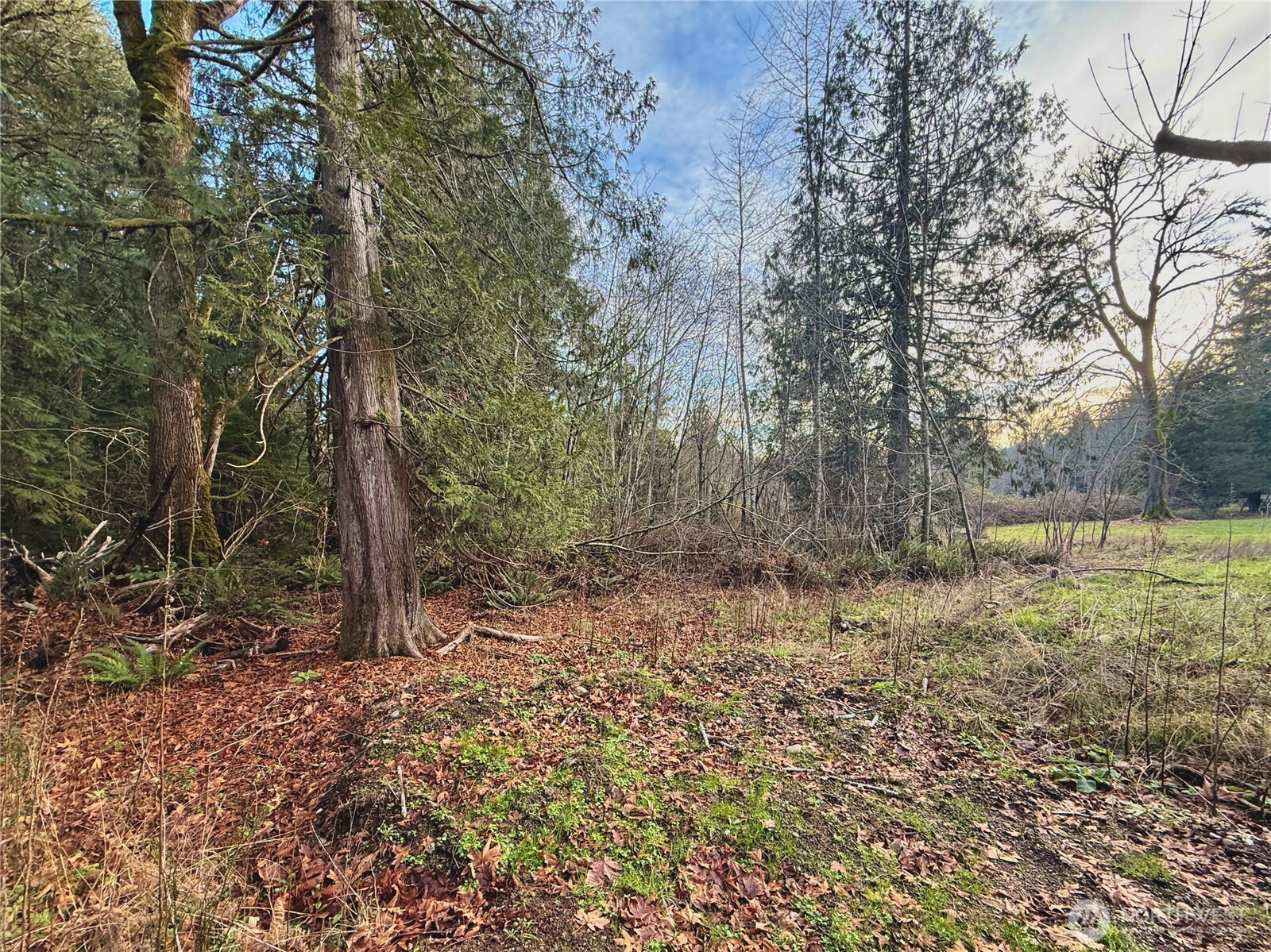 680 E State Route 302 Property Photo 21