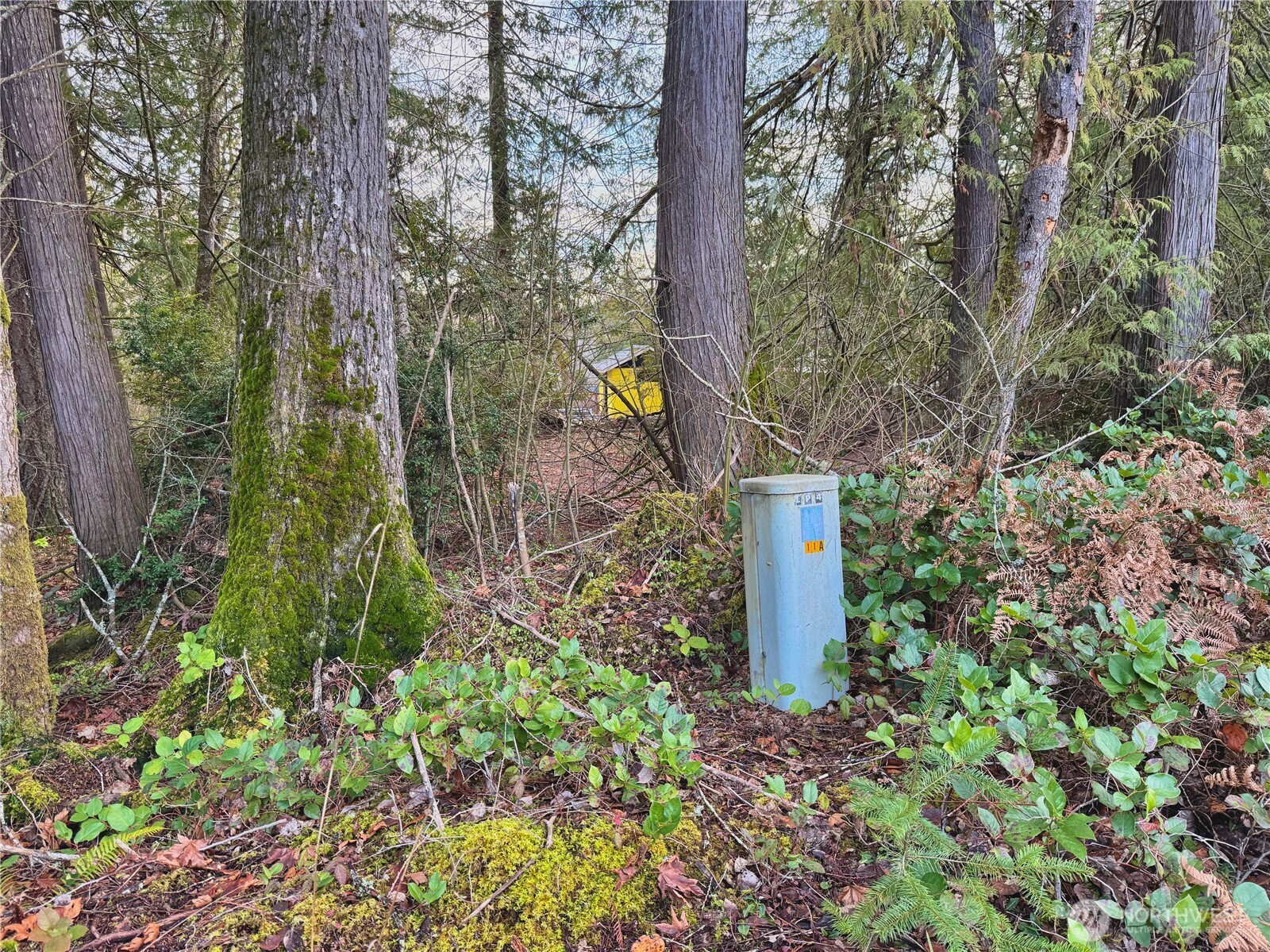 680 E State Route 302 Property Photo 22