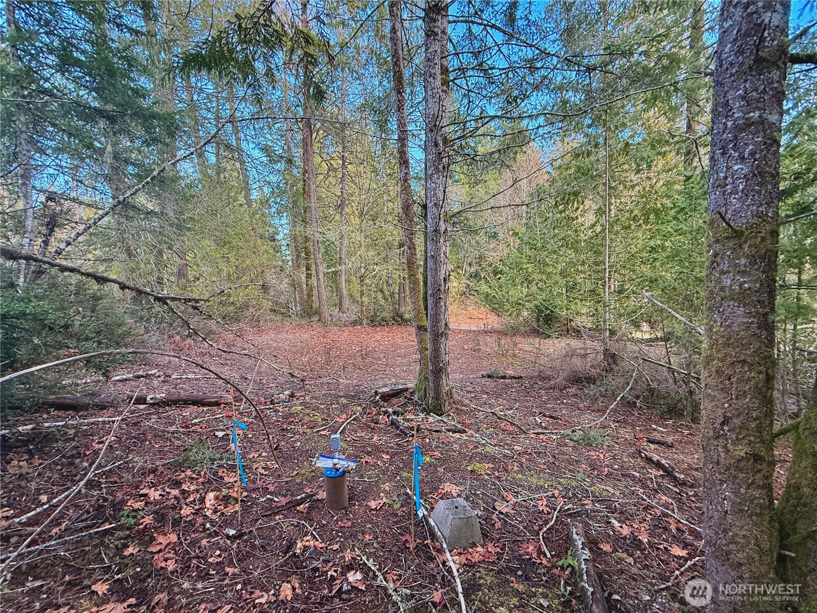 680 E State Route 302 Property Photo 23