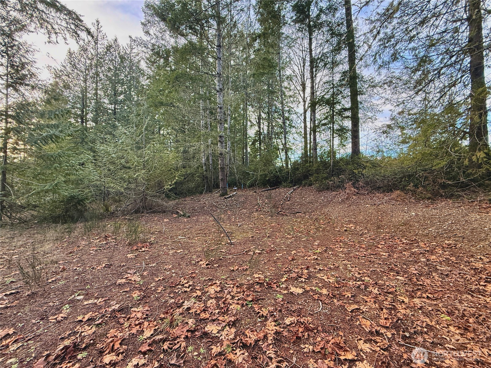 680 E State Route 302 Property Photo 24