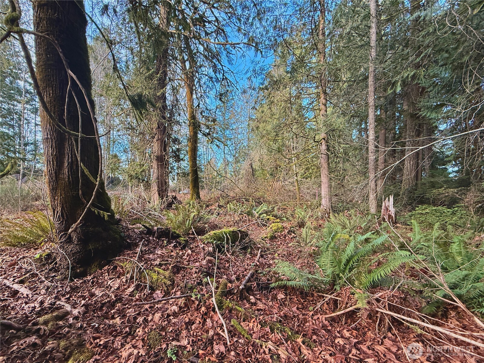 680 E State Route 302 Property Photo 26