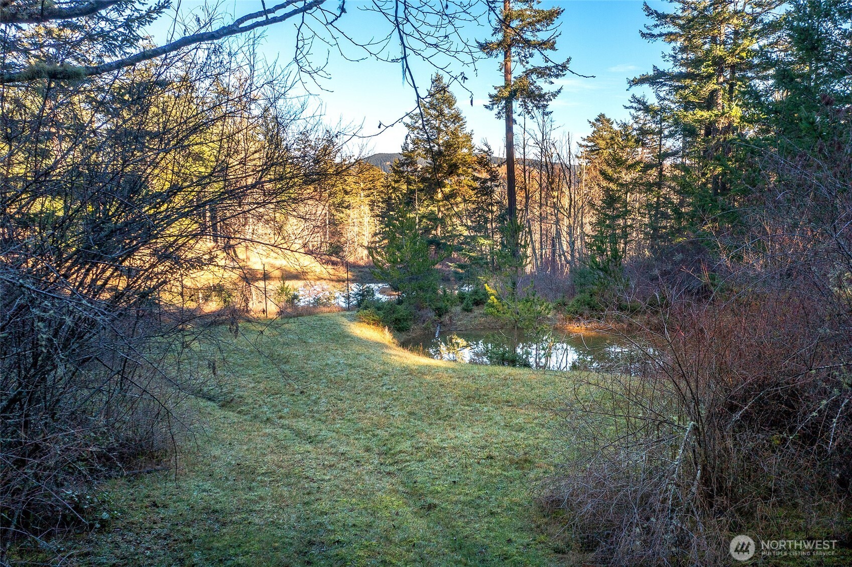 87 Levon Lane Property Photo 38