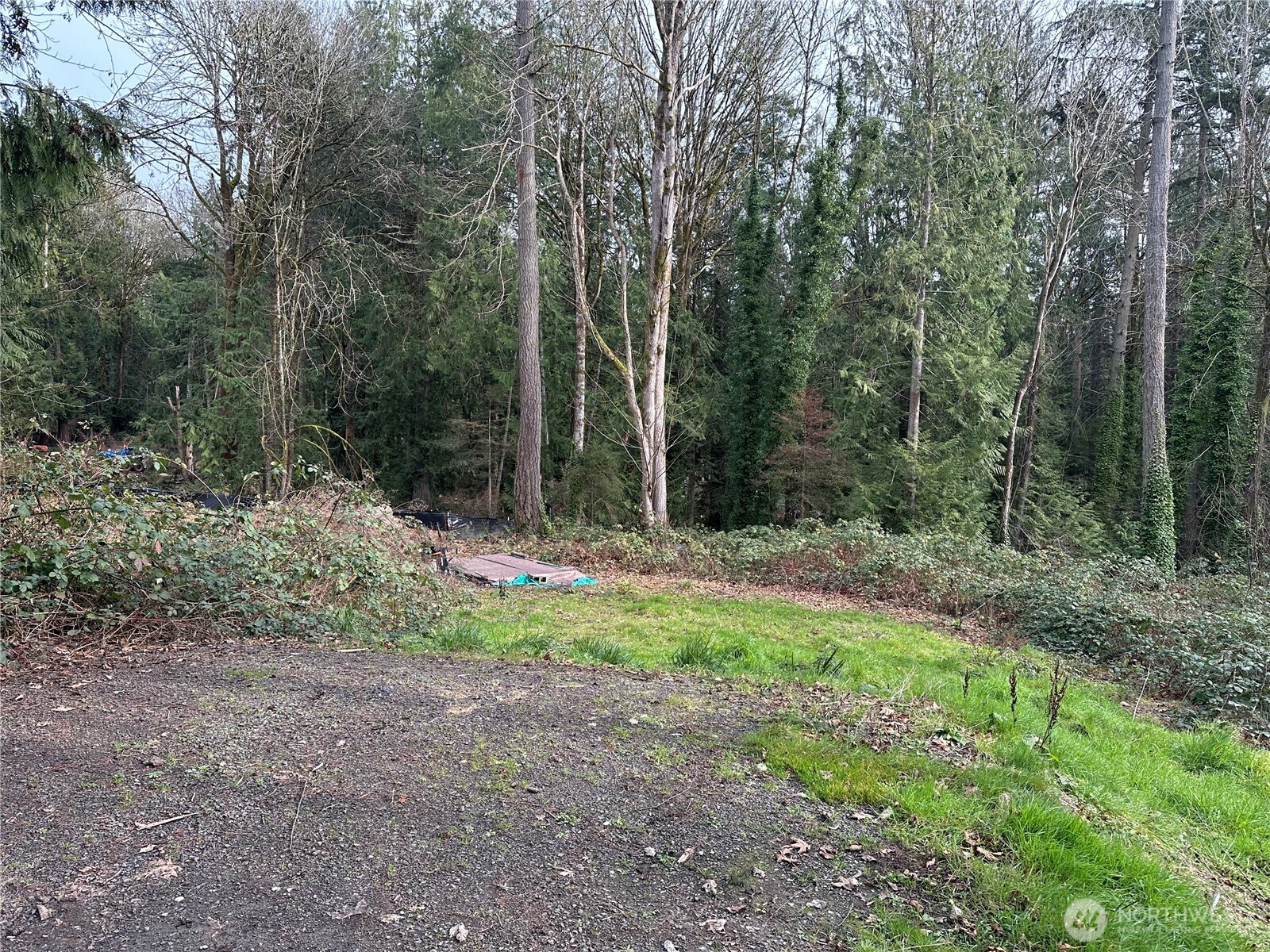 20594 Alder Street Property Photo 5