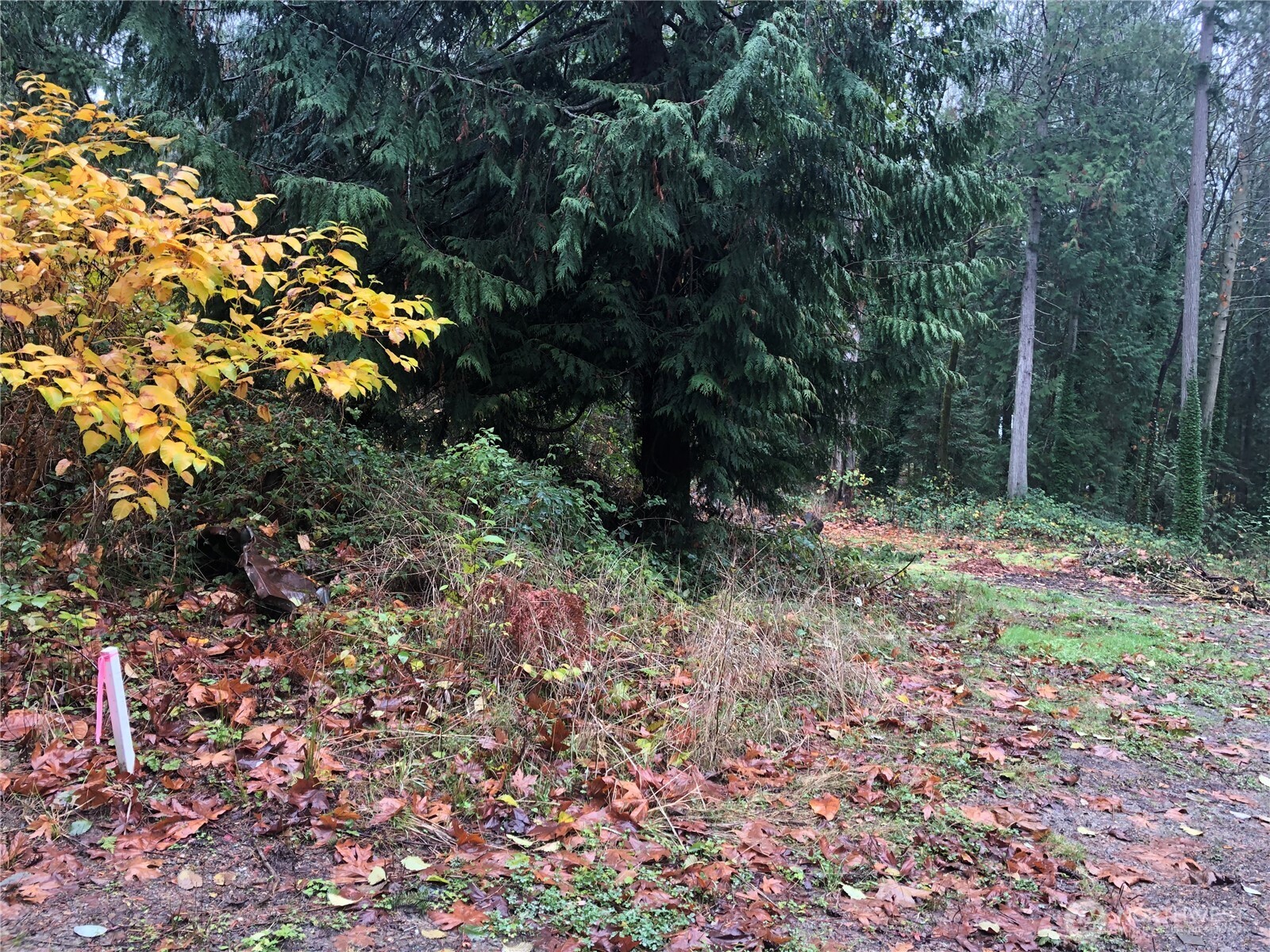 20594 Alder Street Property Photo 6