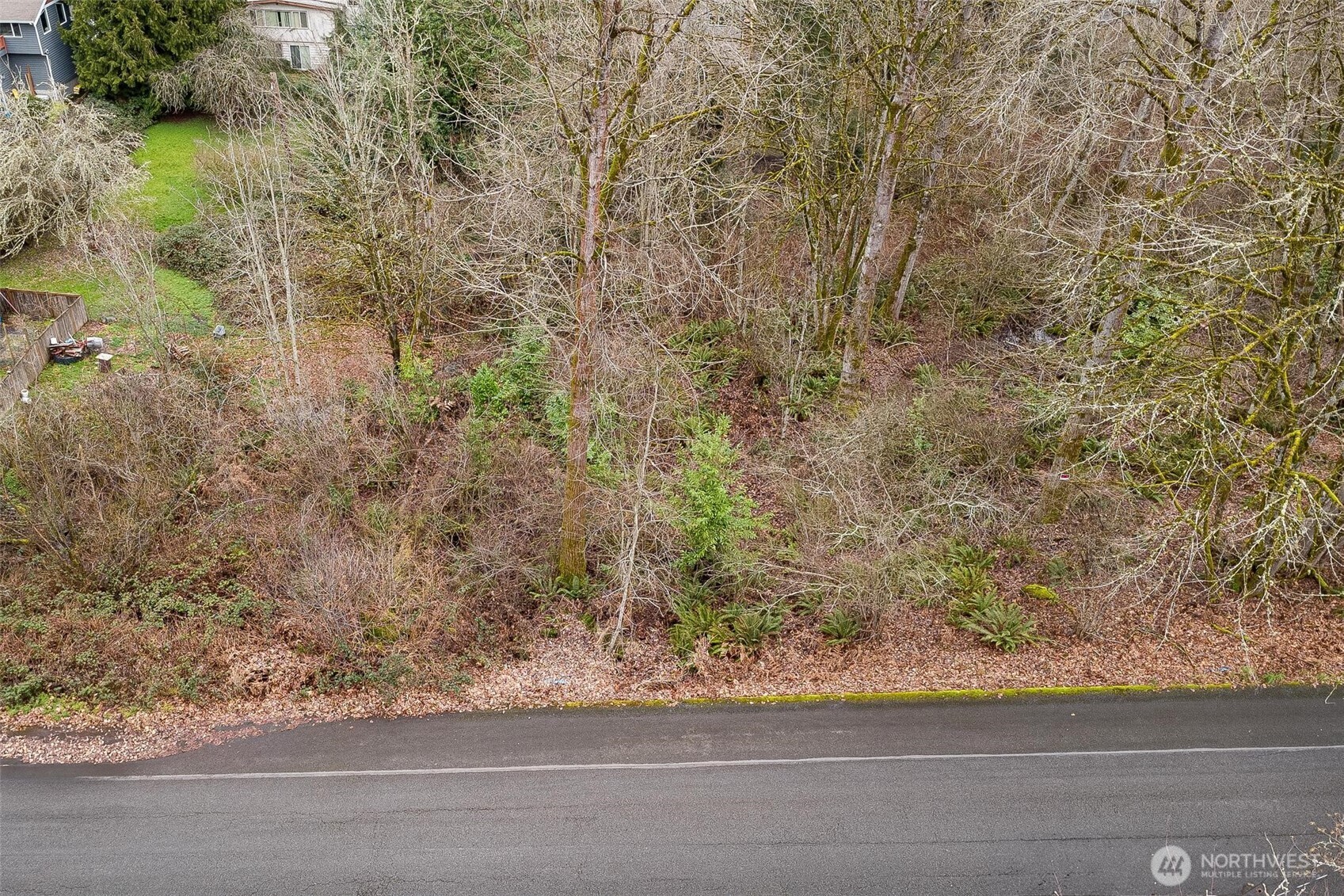 0 17xxx 172nd Avenue Property Photo 4