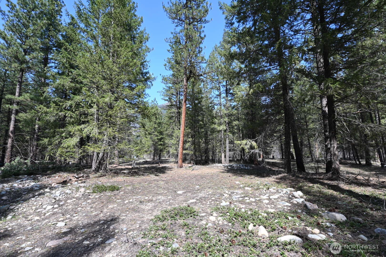 38 Mazama Pines Lane Property Photo 7