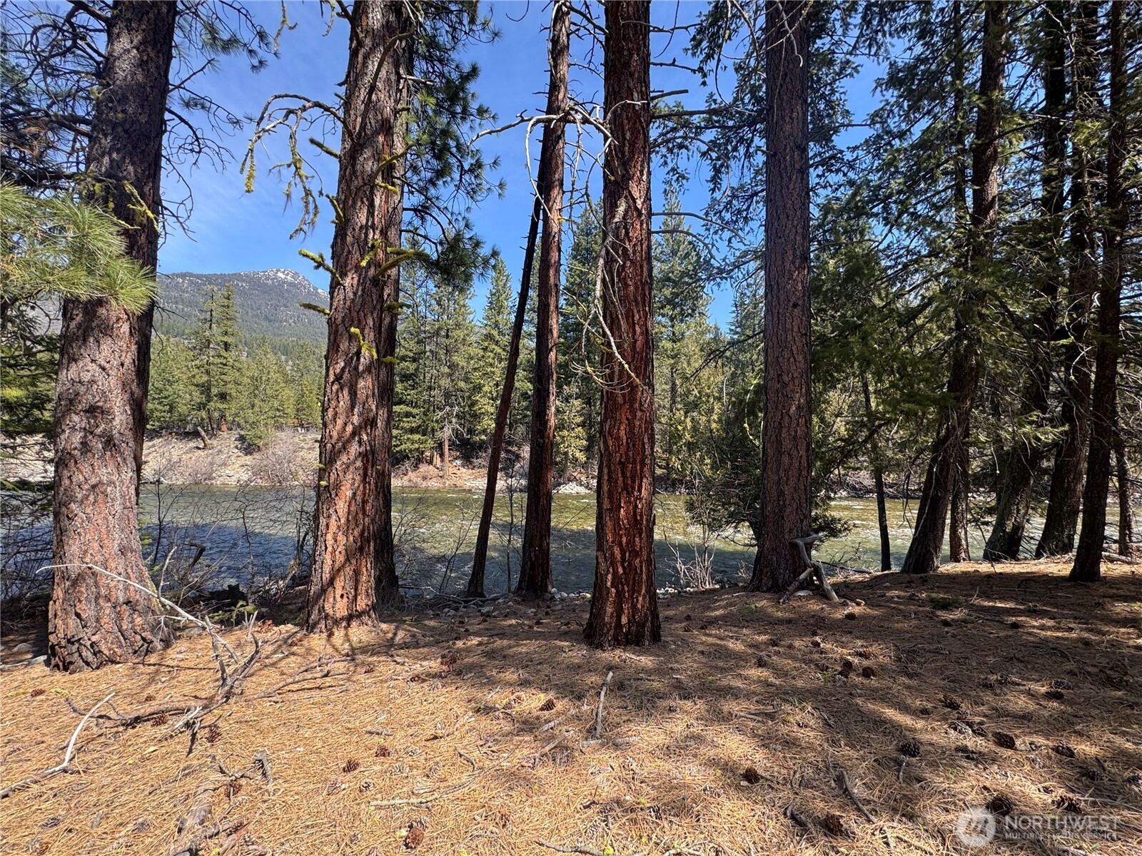 38 Mazama Pines Lane Property Photo 11