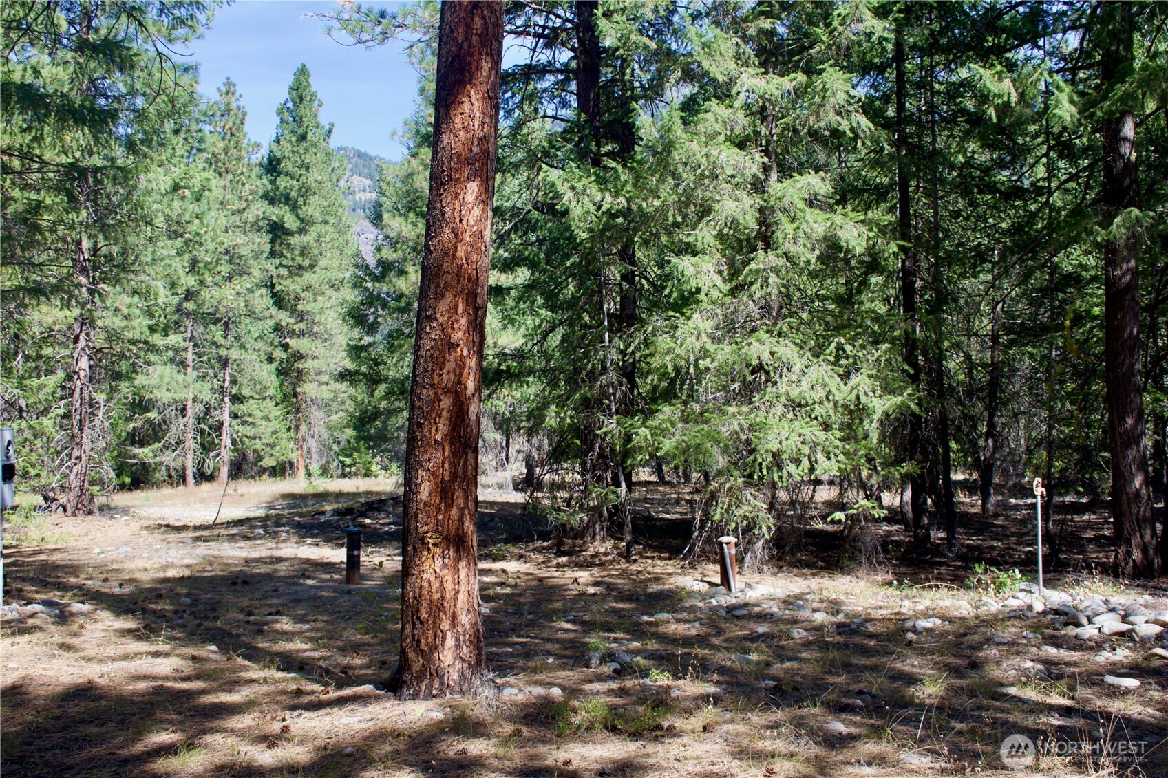 38 Mazama Pines Lane Property Photo 21