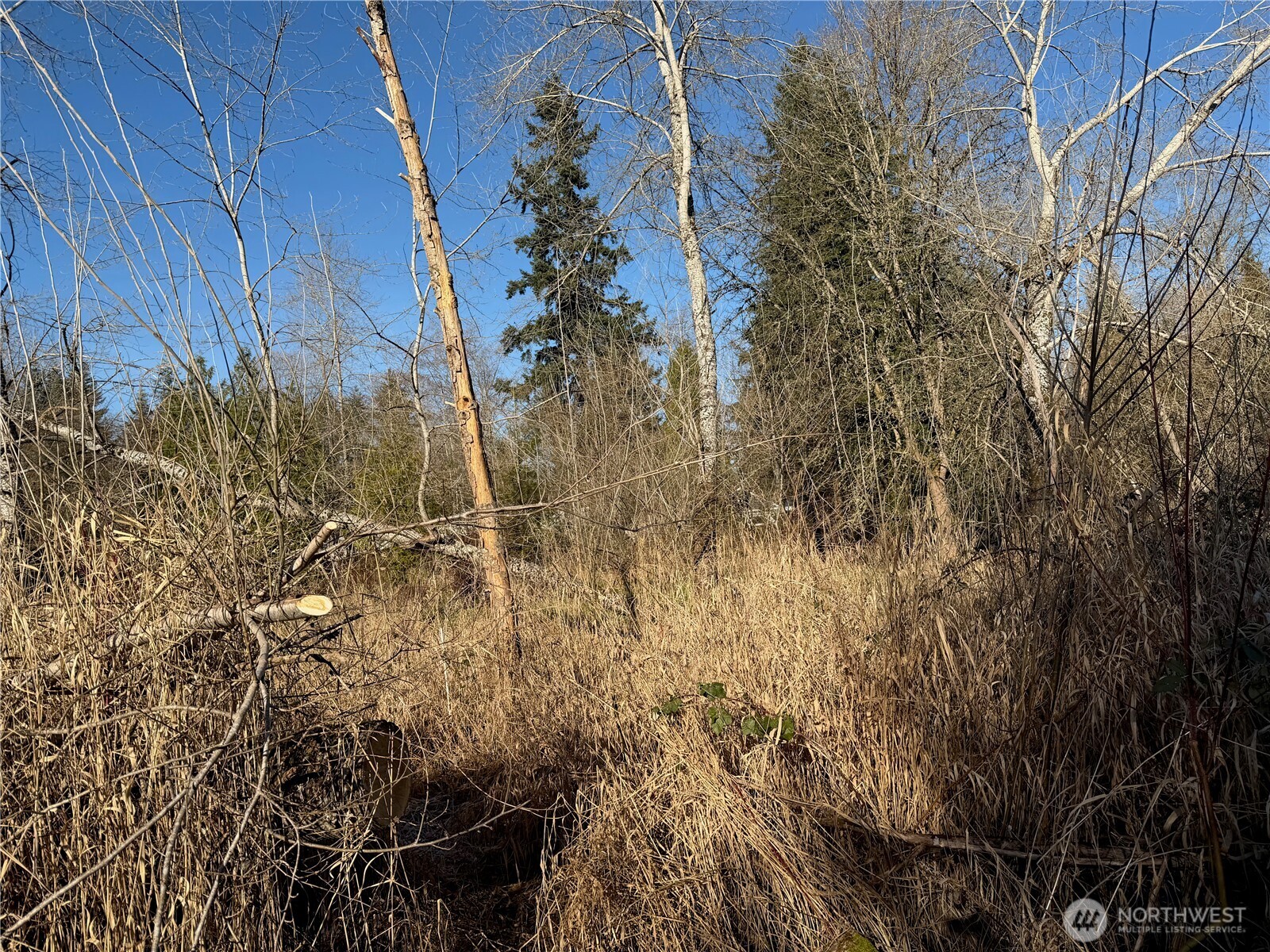 23112 State Route 9 Property Photo 14