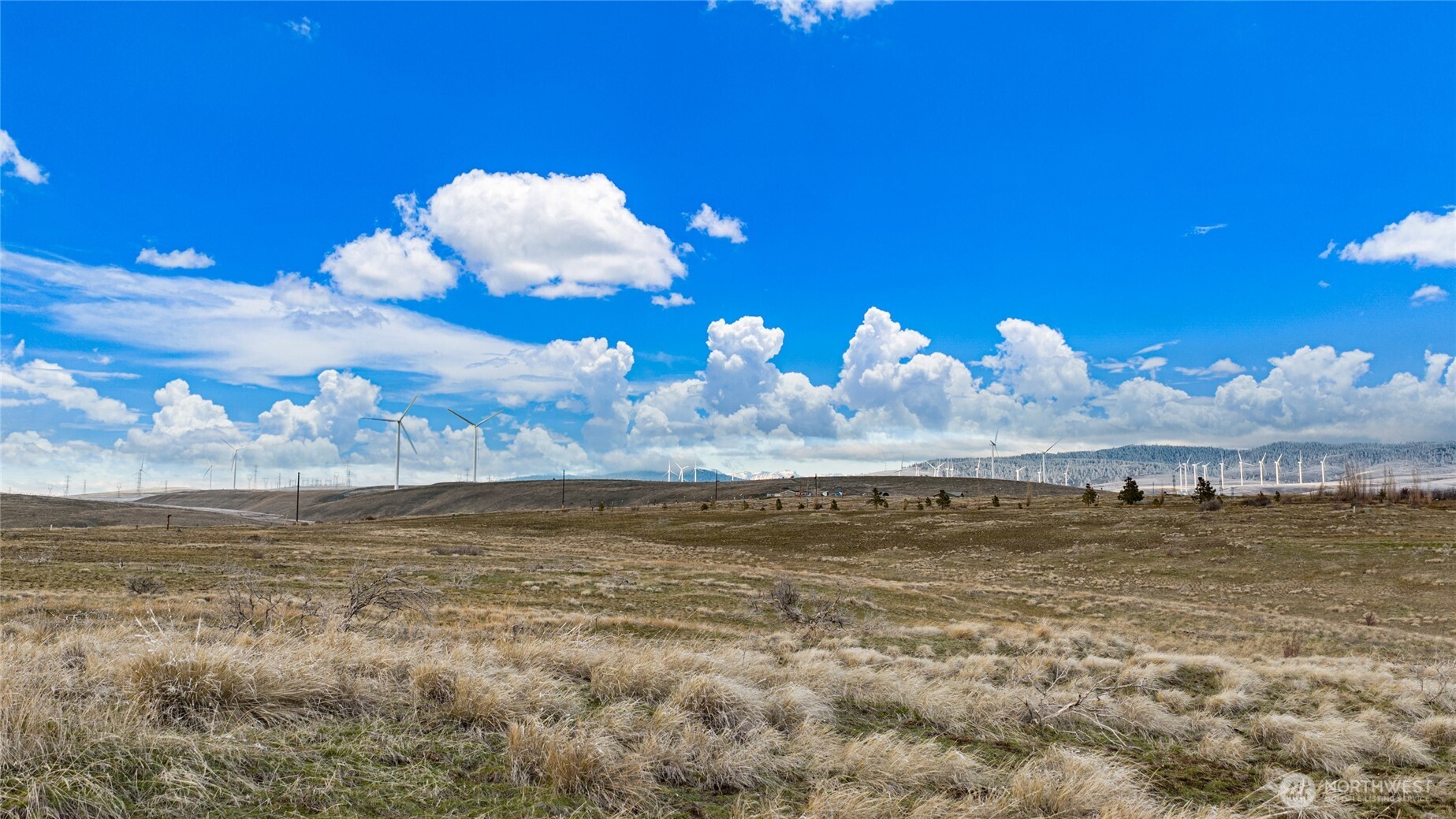 0 1a & 1b Ellensburg Ranches Road Property Photo 1