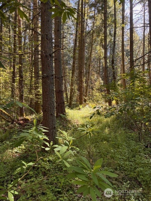 0 Chuckawa Lane Property Photo 1