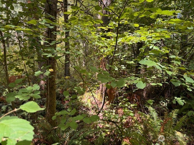 0 Chuckawa Lane Property Photo 11