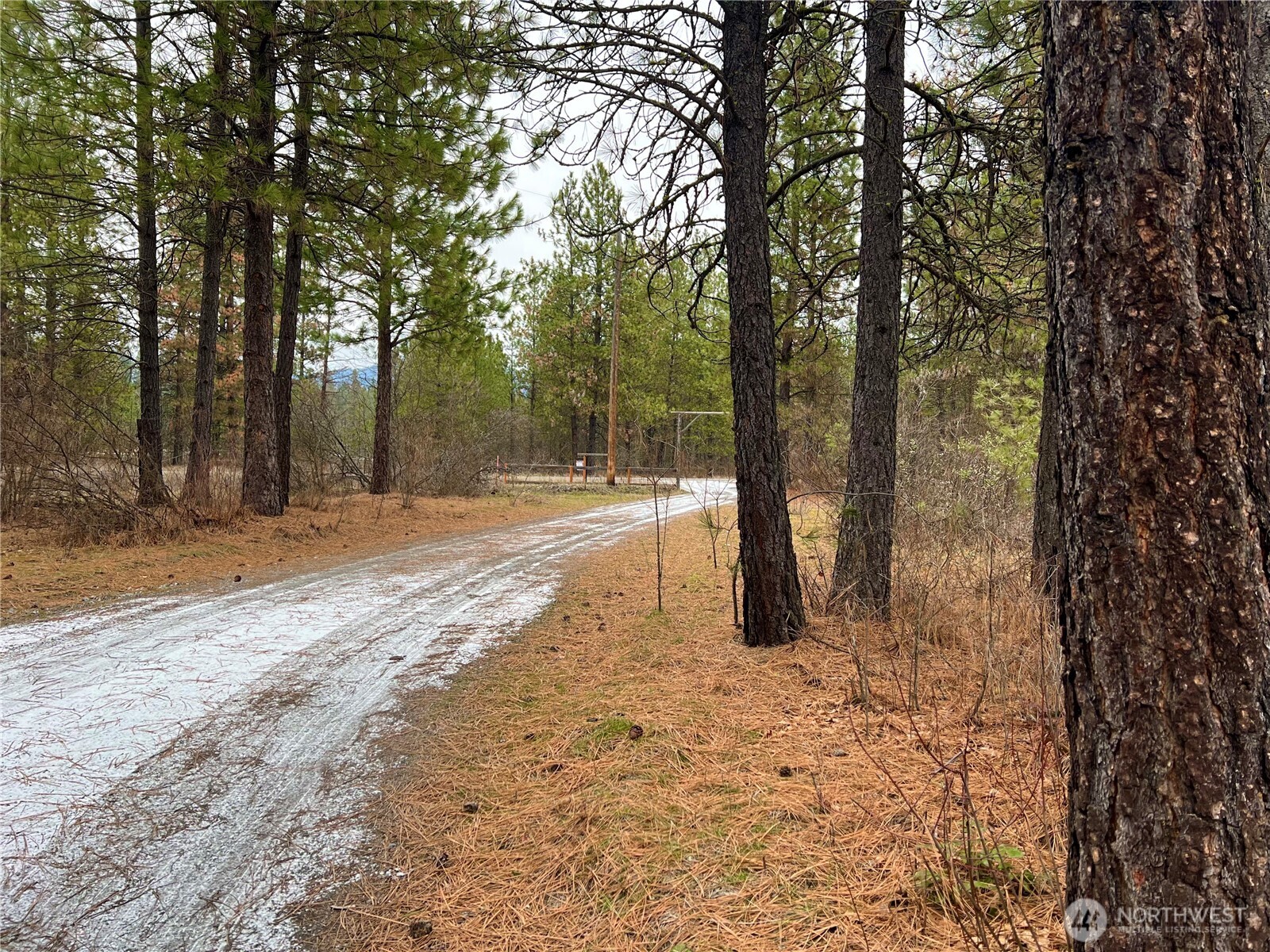 4396 Northport Flat Creek Road Property Photo 3