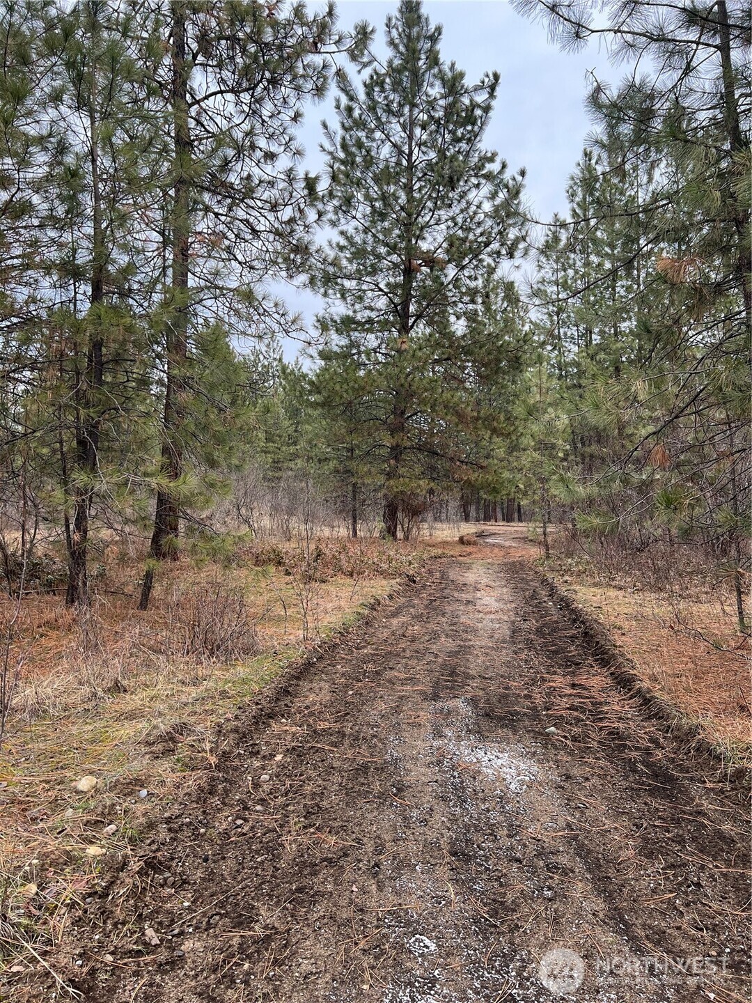 0 4398tbd Northport Flat Creek Road Property Photo 7