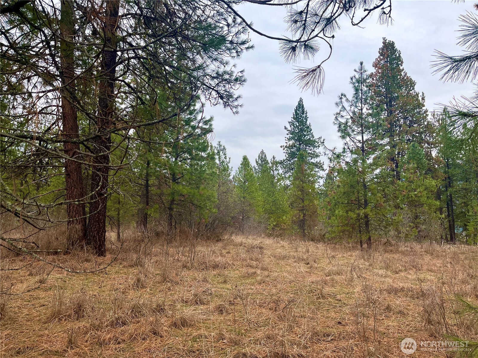 0 4398tbd Northport Flat Creek Road Property Photo 8