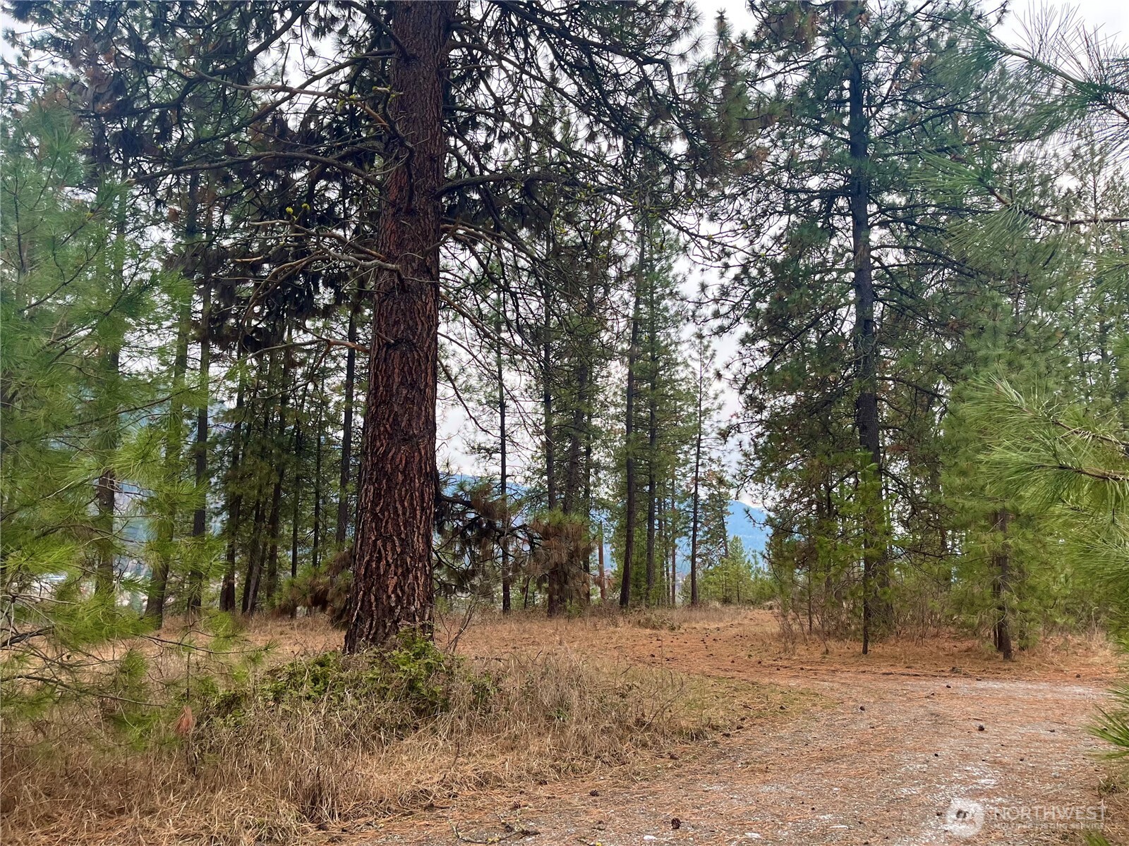 0 4398tbd Northport Flat Creek Road Property Photo 9