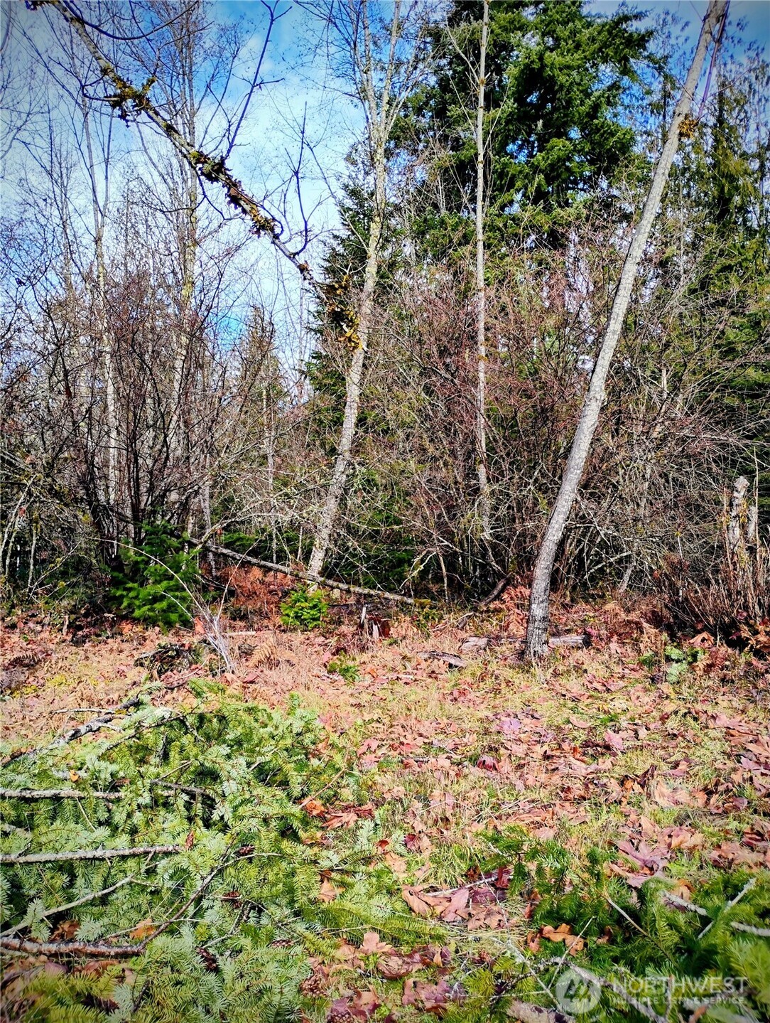 0 Holiday Lane Lot 19
