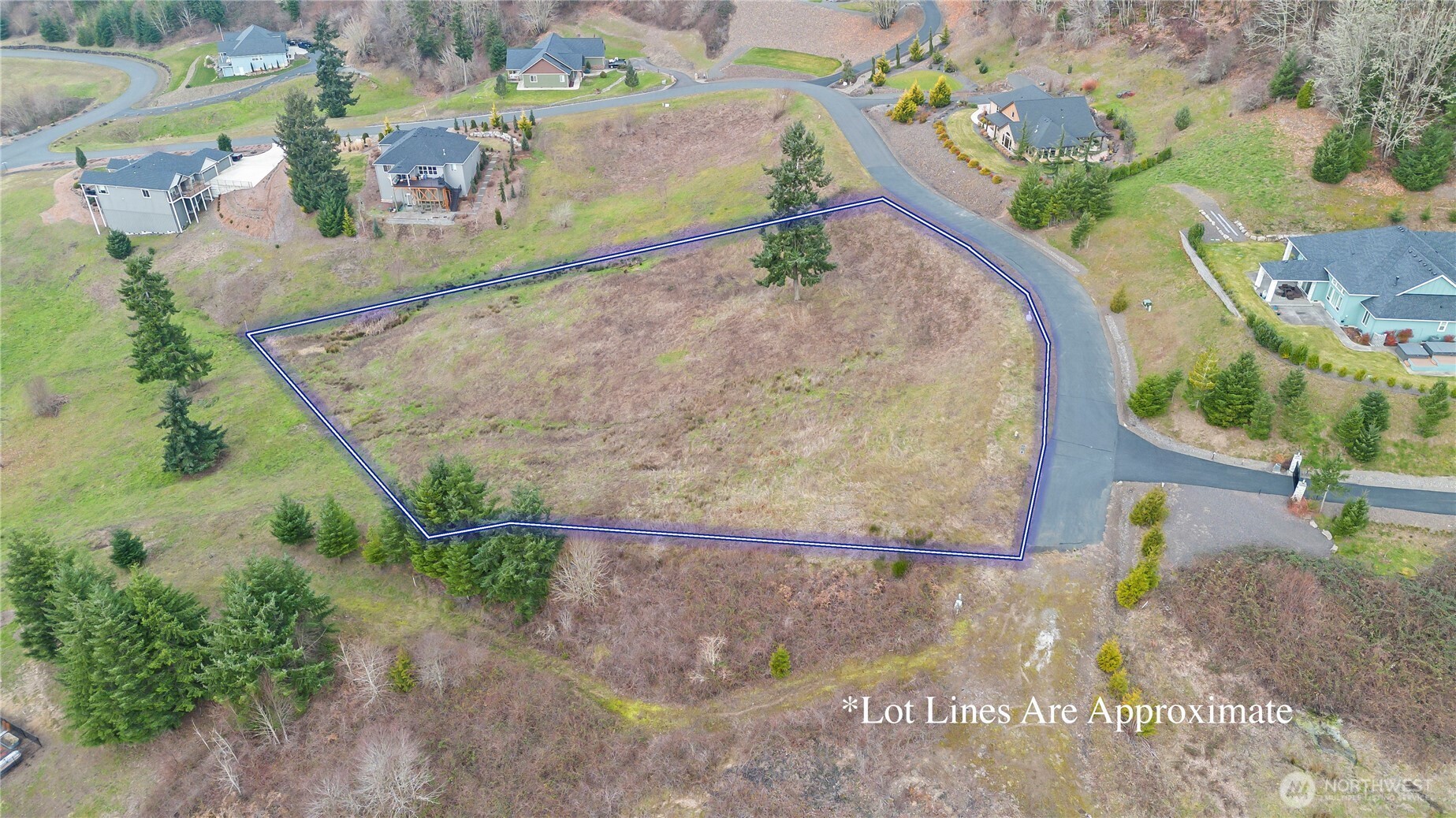 202 Windy River Road Property Photo 5