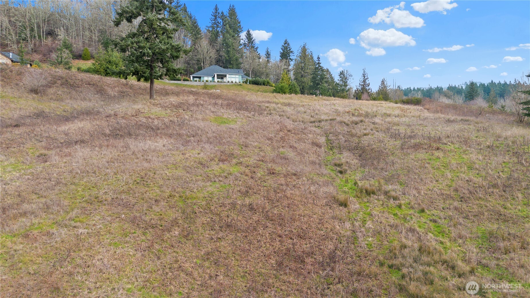 202 Windy River Road Property Photo 14