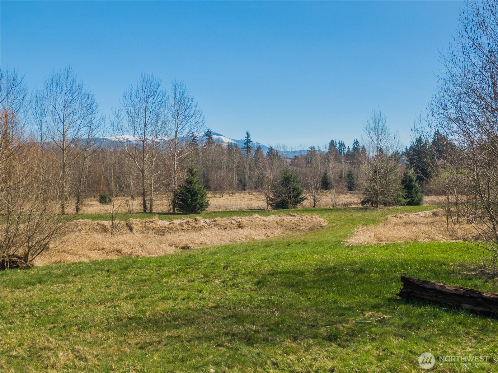 2323 Lindgren Road Property Photo 27