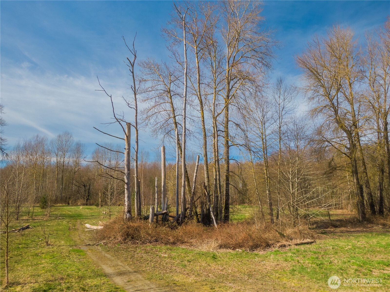 2323 Lindgren Road Property Photo 28
