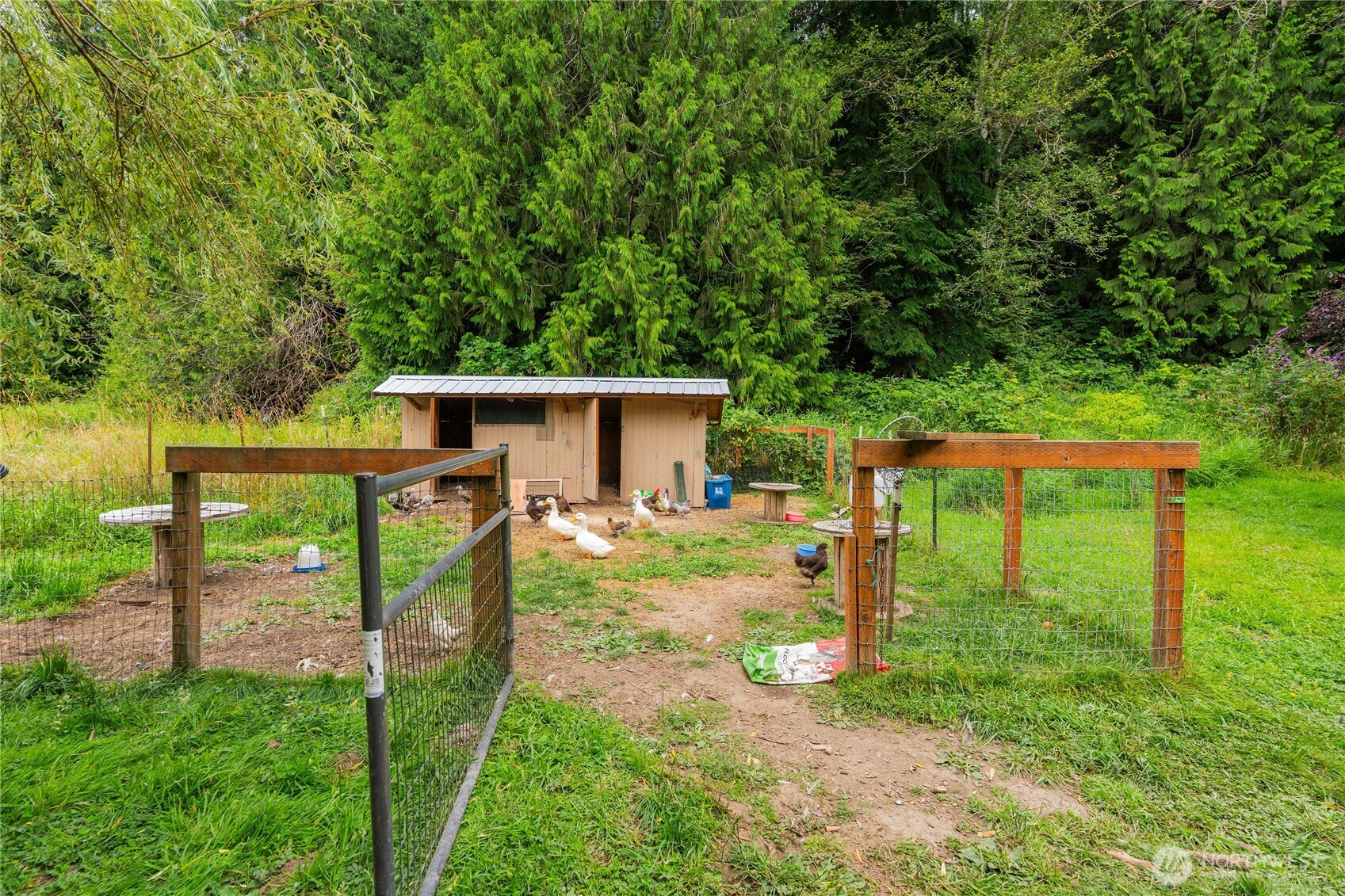 371 Pigeon Springs Road Property Photo 30