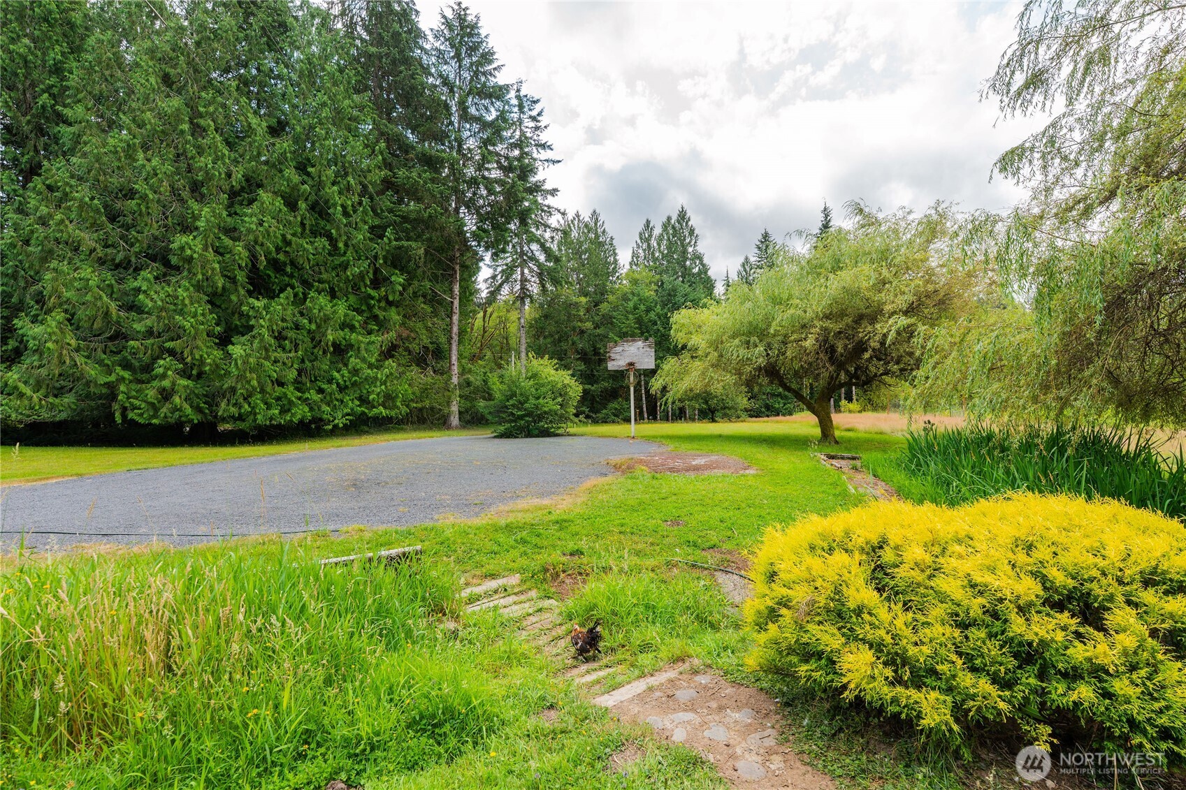 371 Pigeon Springs Road Property Photo 31