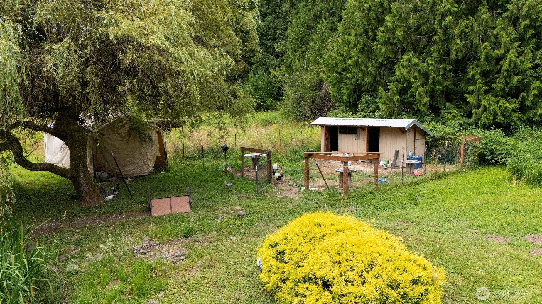371 Pigeon Springs Road Property Photo 33