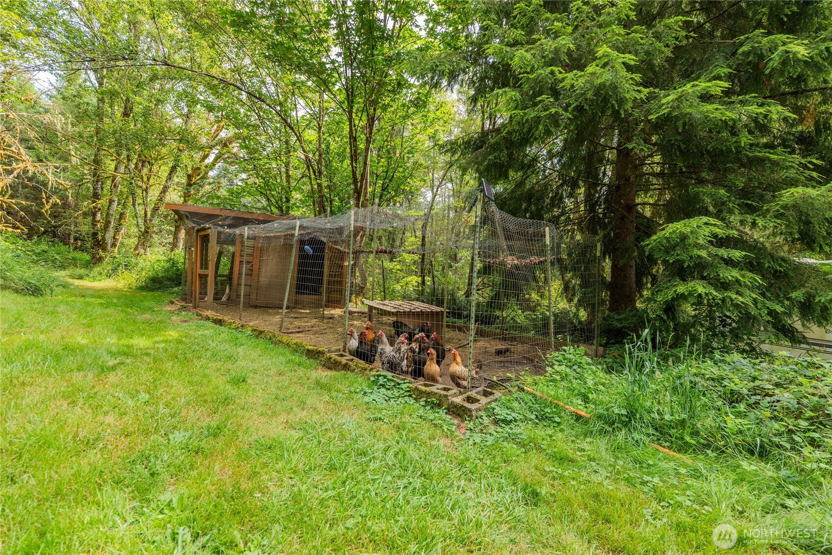 371 Pigeon Springs Road Property Photo 35