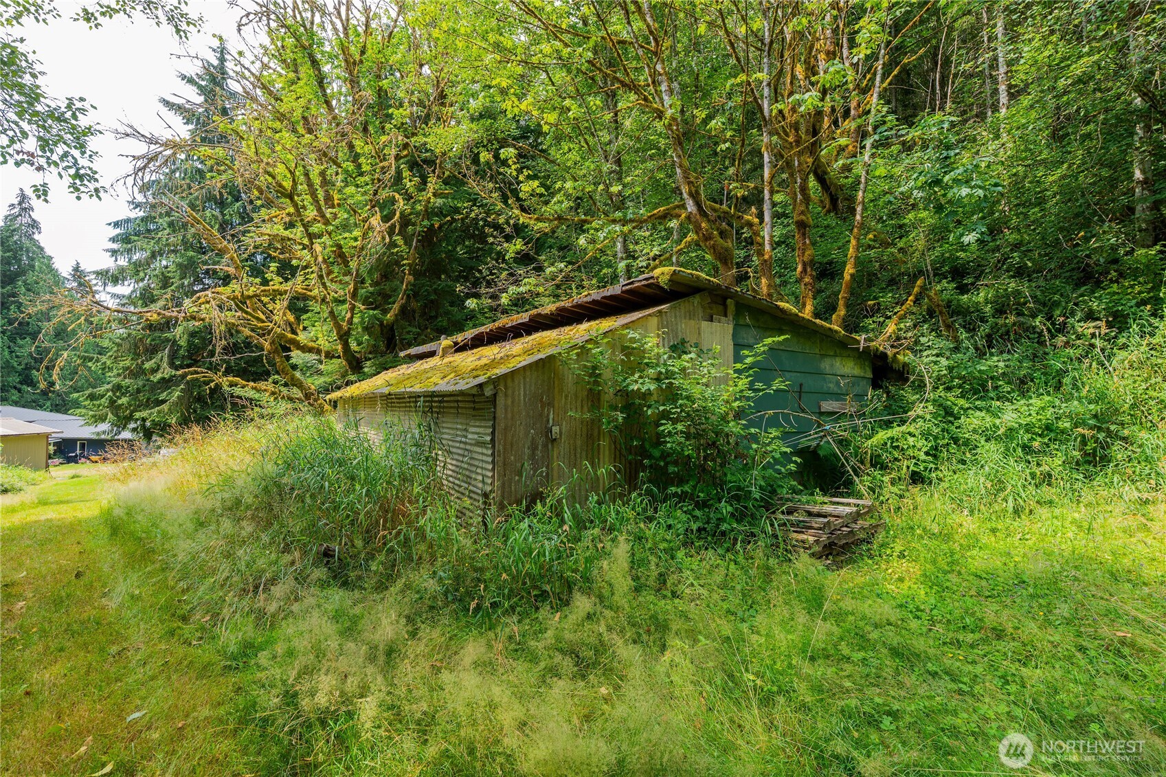 371 Pigeon Springs Road Property Photo 36